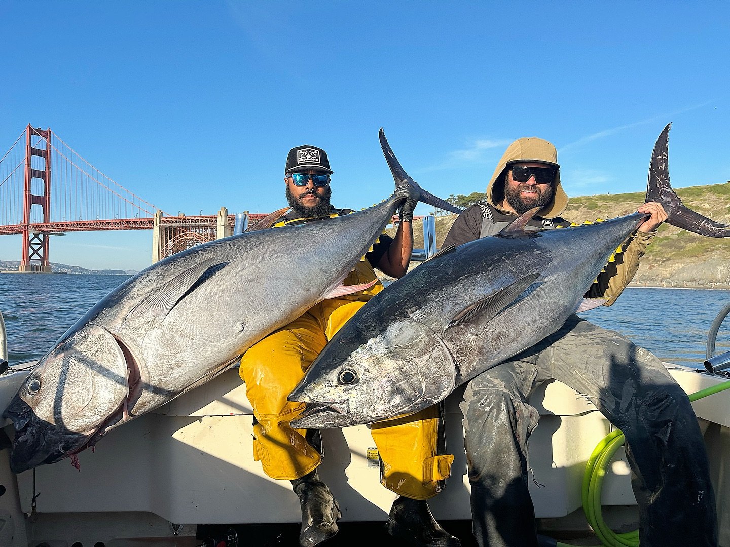 We have availability all week 
Tuesday 2 spots
Wednesday 5 spots 
Thursday 6 spots 
Friday 6 spots 
#scallywag #fishing #fish #sfbay #tuna