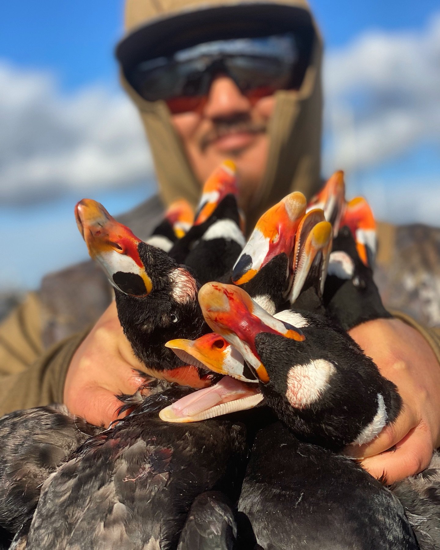 🚨 HUNT GIVEAWAY 🚨 
DUCK SEASON IS RIGHT AROUND THE CORNER AND THE SCOTERS ARE ALREADY SHOWING UP IN THE BAY! MAKE SURE TO GET ON THE BOOKS FOR HINT IN THE SAN FRANCISCO BAY!!!!! 
🏴&zwj;☠️THE RULES🏴&zwj;☠️ 
1- TAG 5 HUNTING BUDDYS IN THE COMMENTS 
