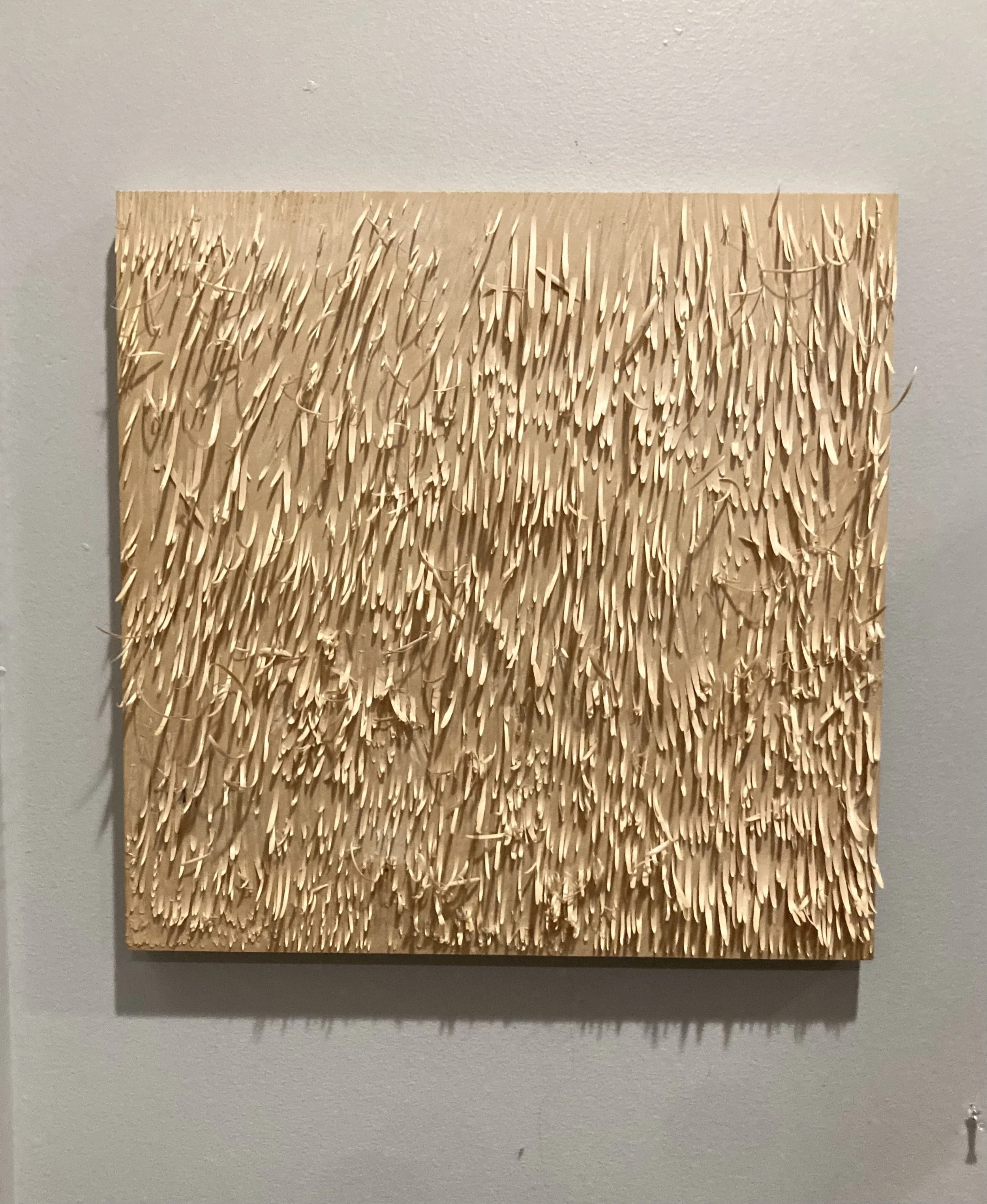 Hear Our Voices 2025 - M S.jpeg