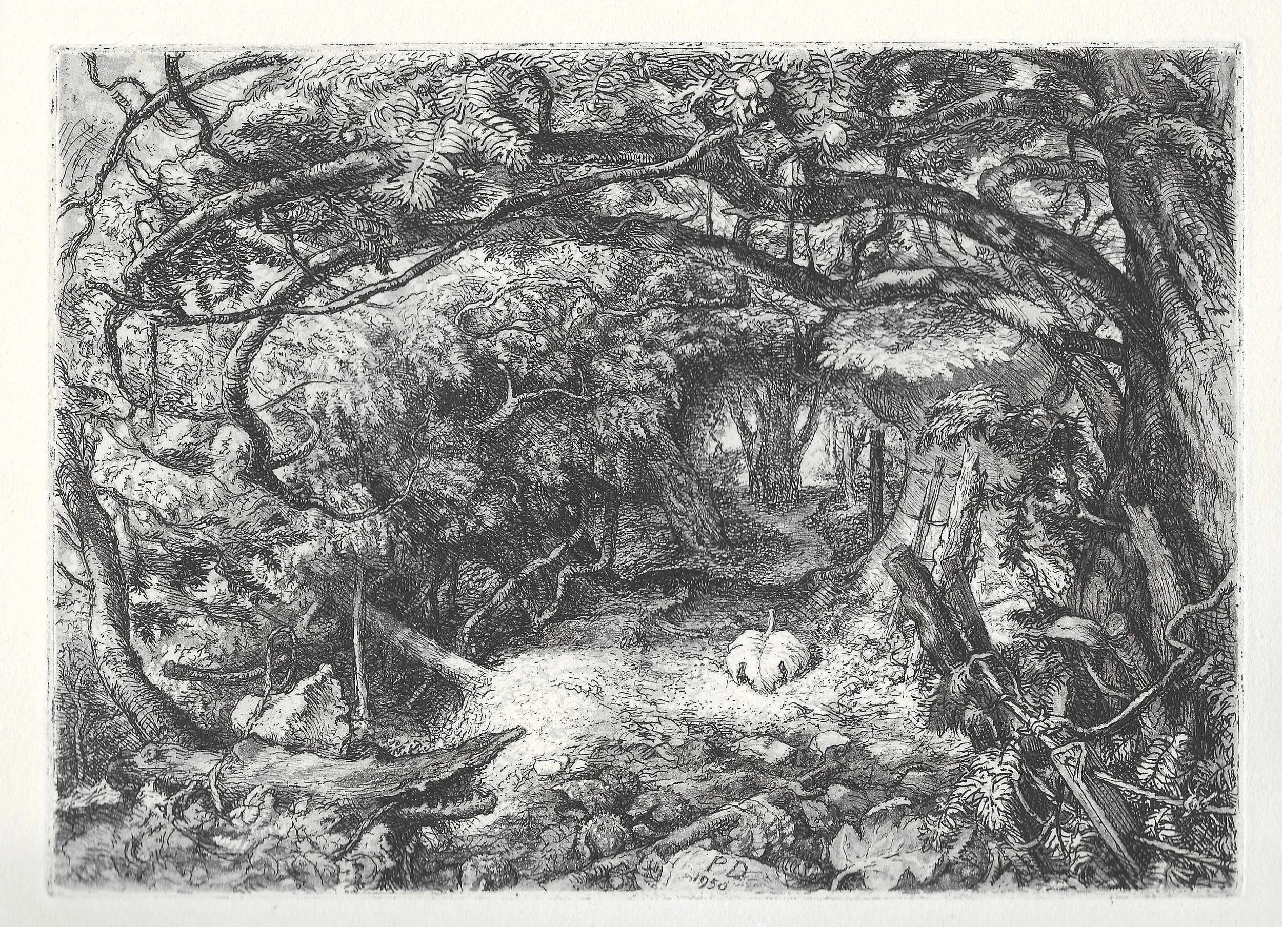 Mickleham Yews III
