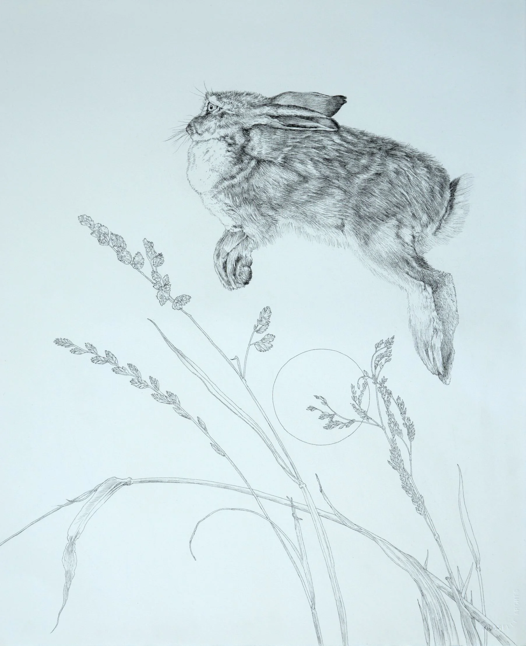 Reanimation
Ink on Paper
47 cm x 58 cm
Price on Request