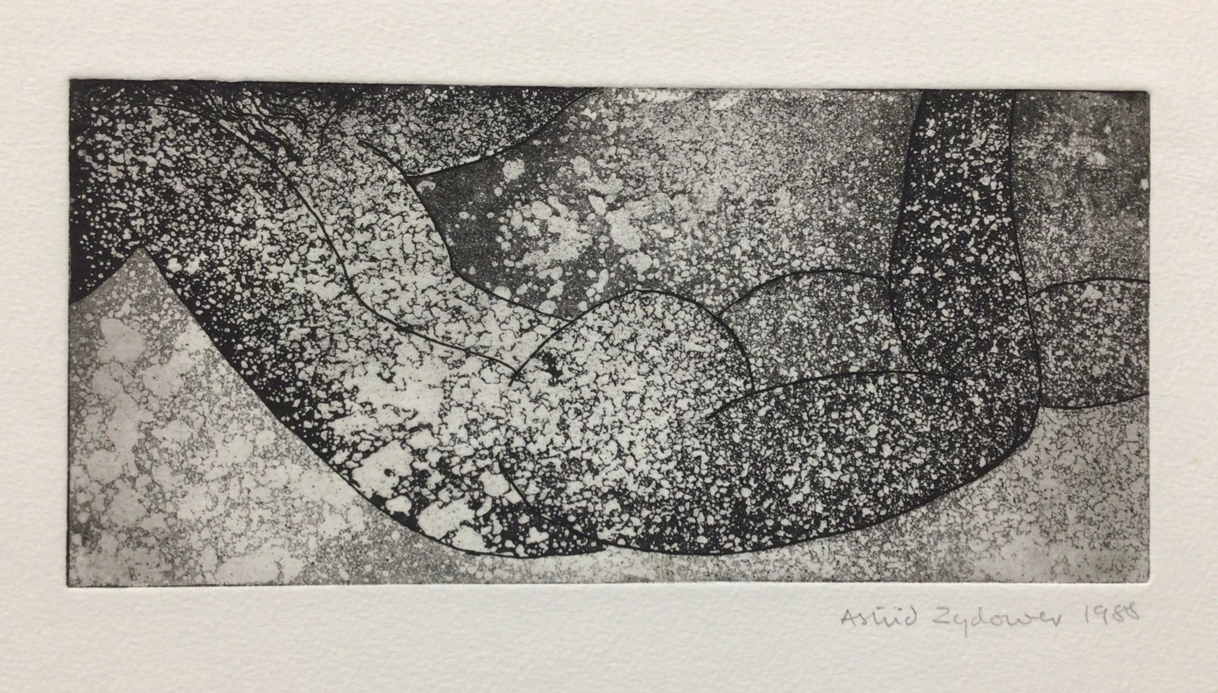 40: Untitled ( Underwater) 2nd State
Etching and Aquatint
Image Size 24x12cm
Signed and dated 1988
£525
