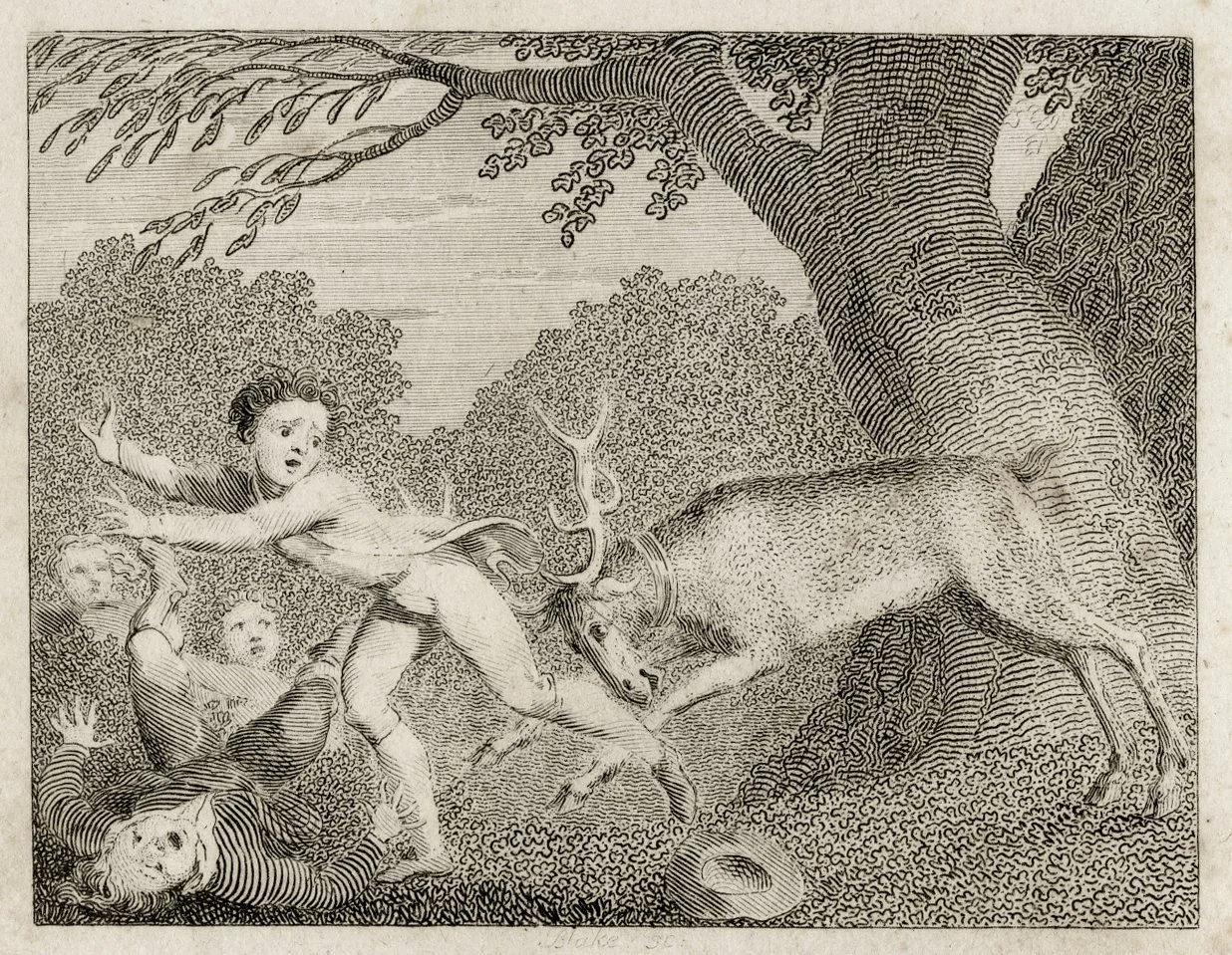 William Blake
The Tame Stag
Engraving 1793
£495