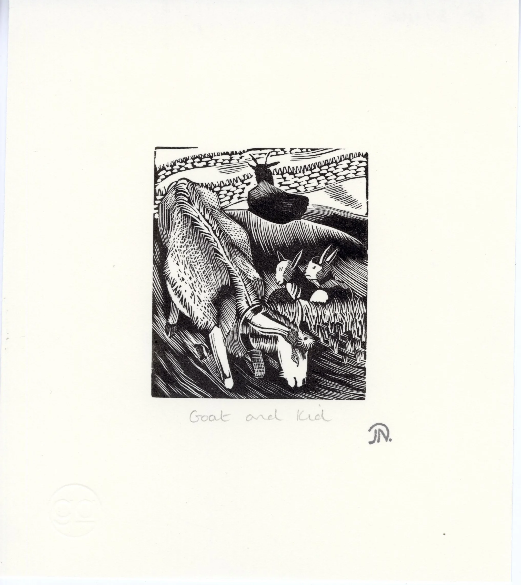 John Nash
Goat and Kid