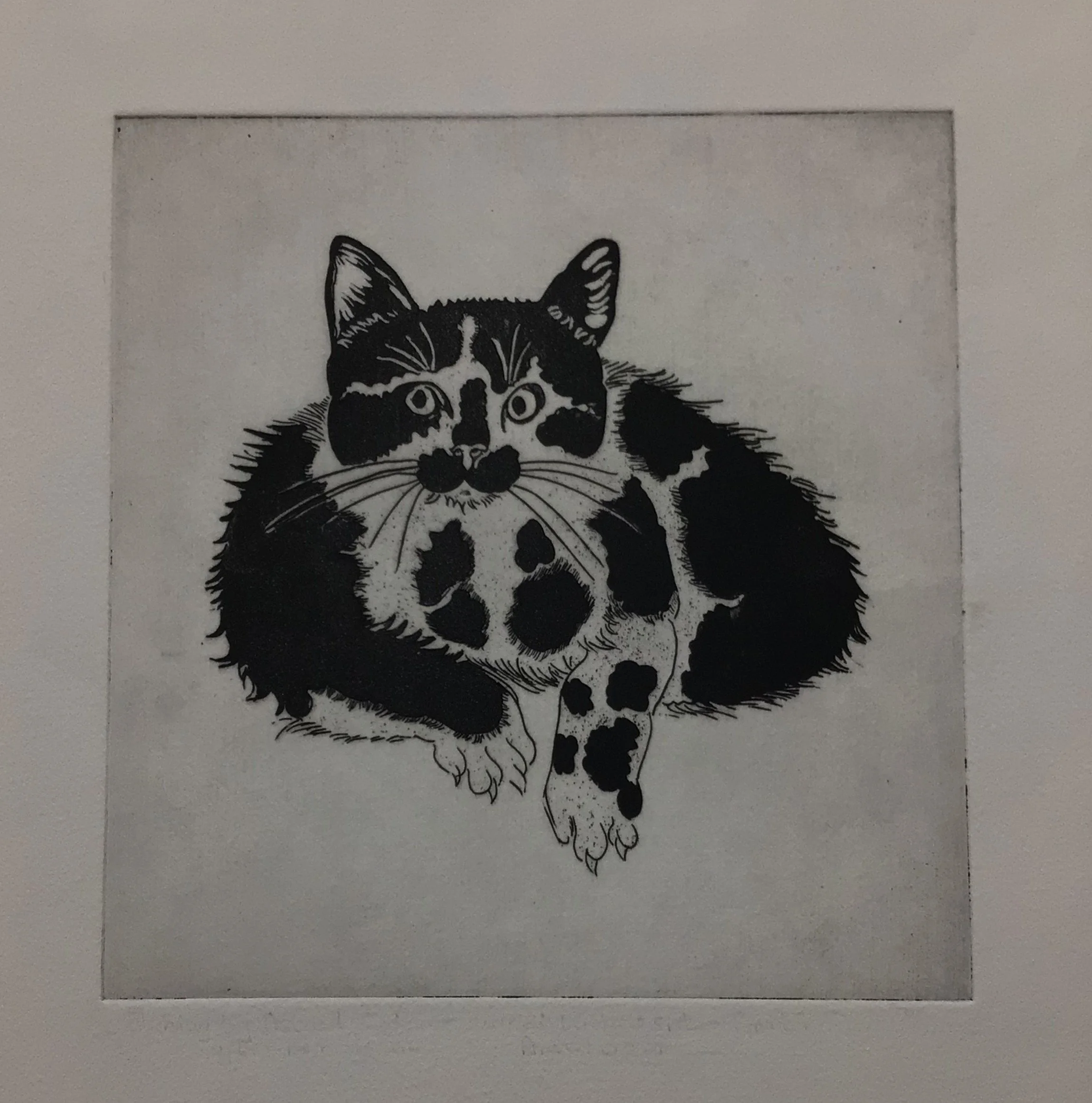 50: Untitled ( Cat Sitting) 2nd State
Etching and Aquatint
Image Size 20x21cm
Unsigned 
£425 
2 Copies available