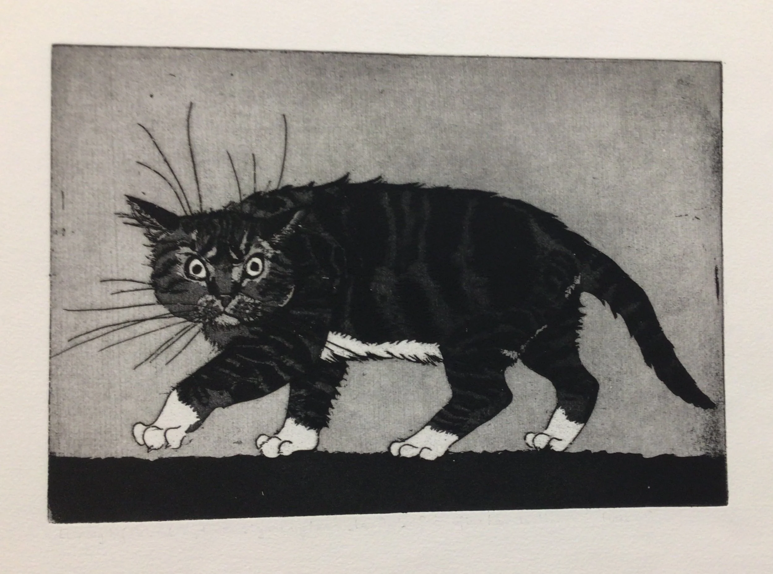 47: Untitled ( Cat Walking) 1st State
Etching and Aquatint
Image Size 29x20cm
Unsigned 
£425