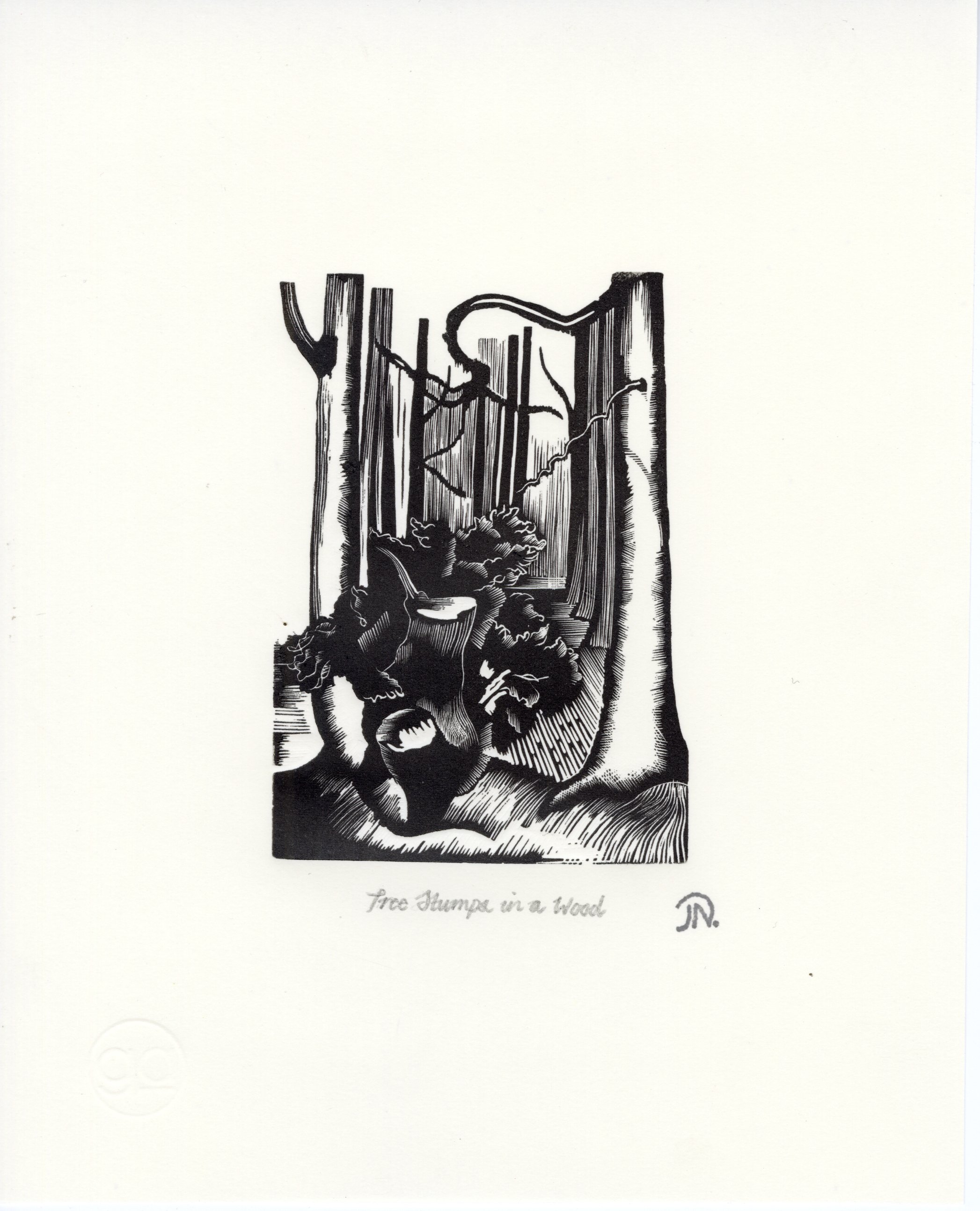 John Nash
Tree Stumps in a Wood
