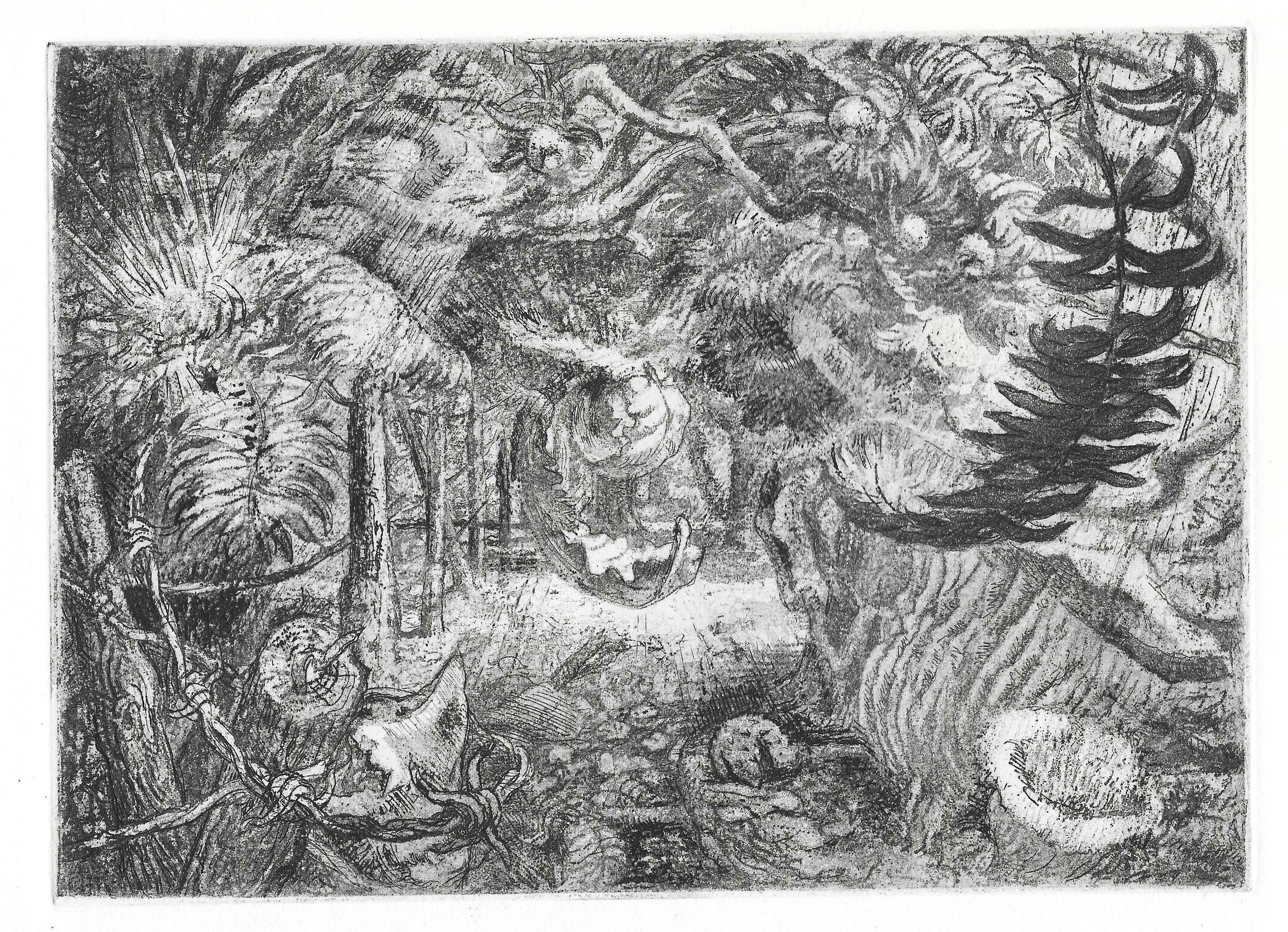 Forms in a Wood
Etching