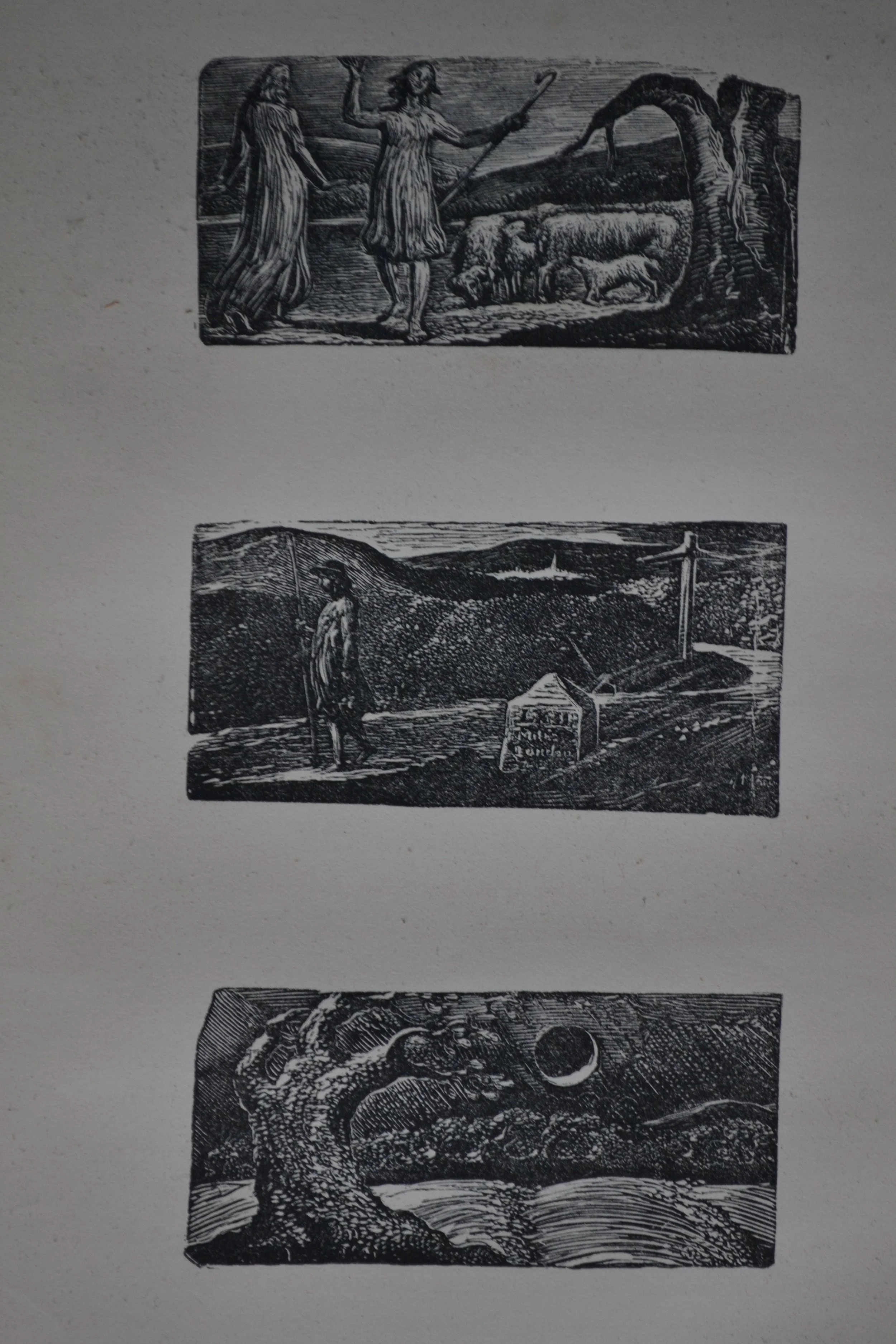 Woodcuts sheet
1861 electrotypes
£300