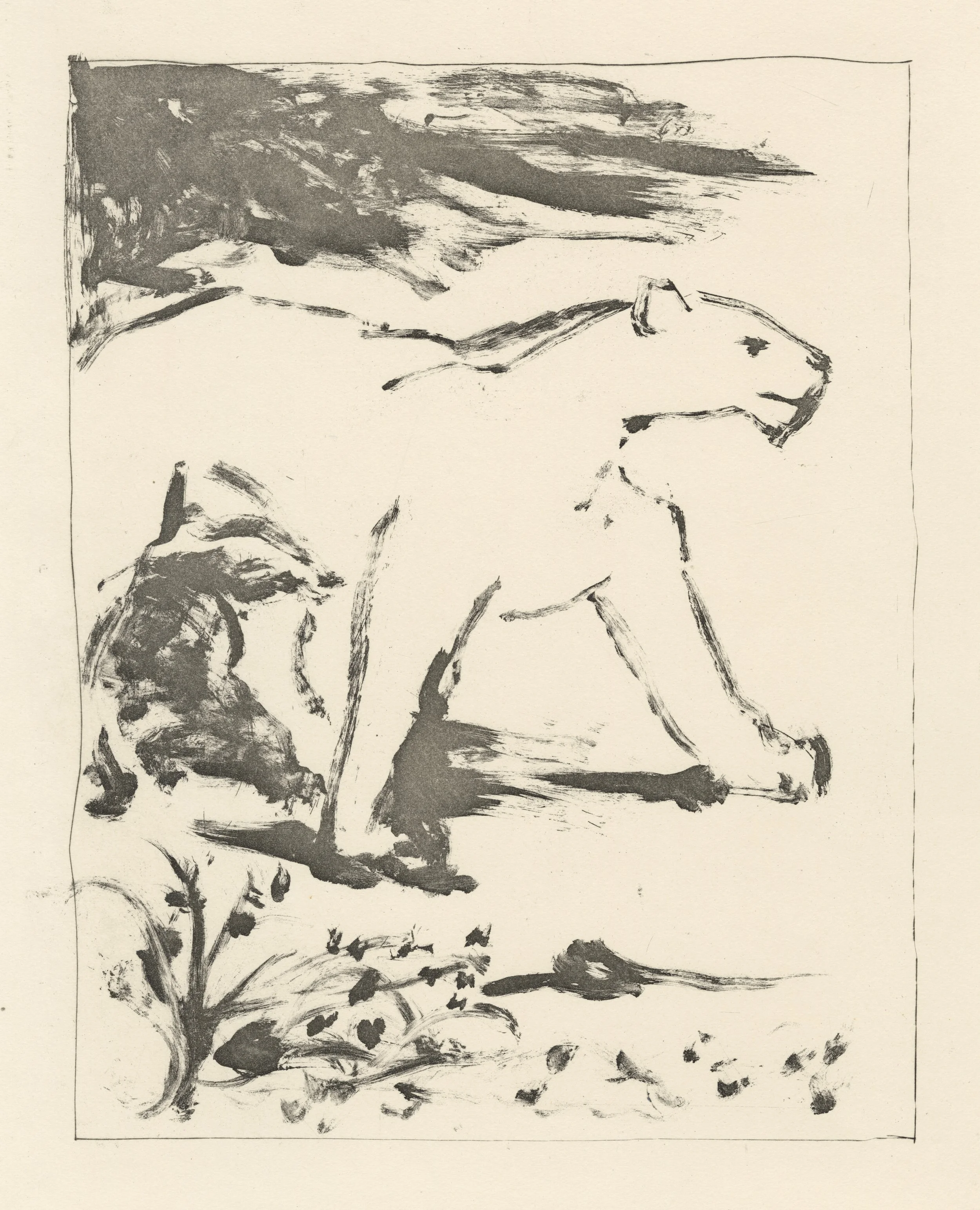 La Lione.jpg