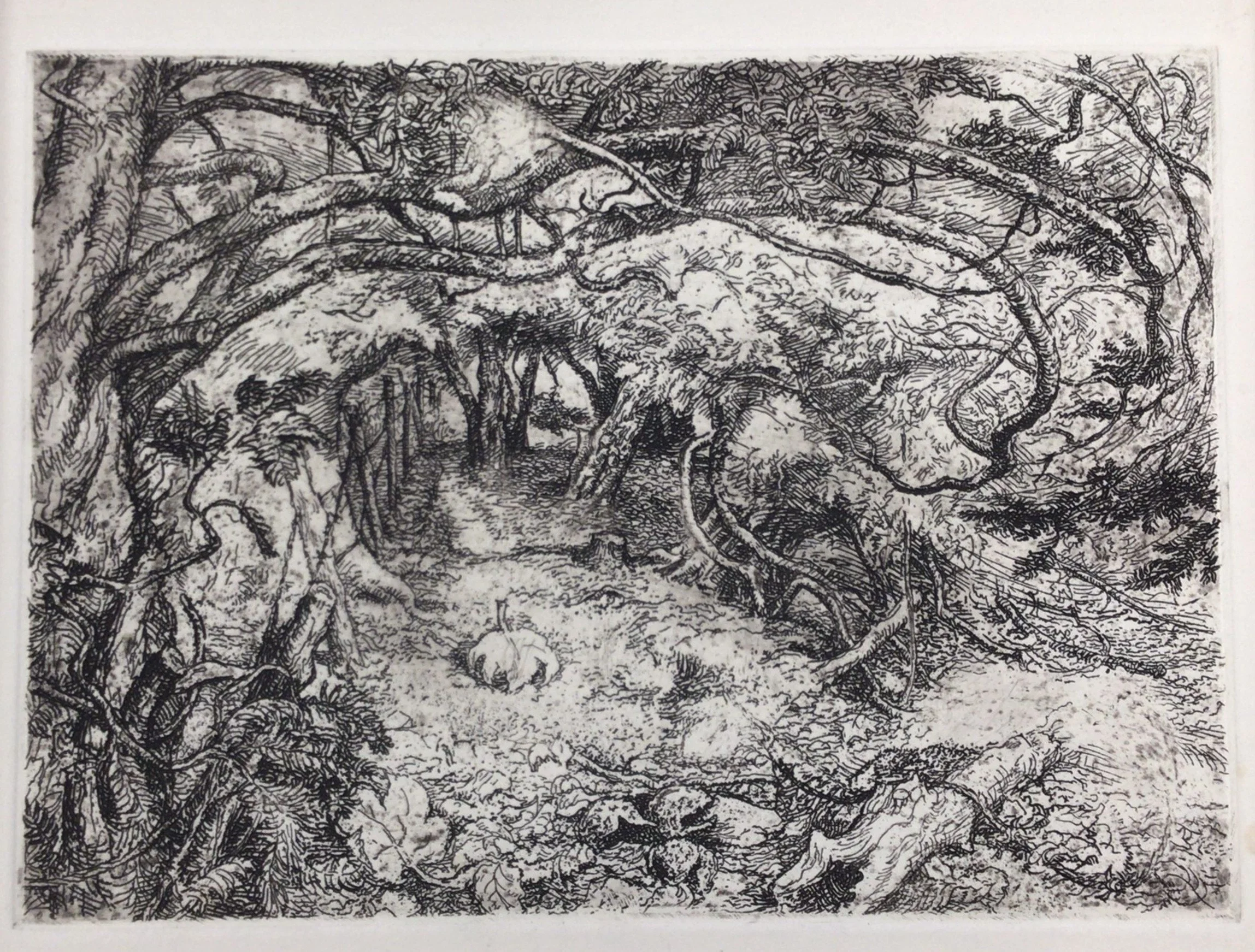 Mickleham Yews II. Etching by Paul Drury