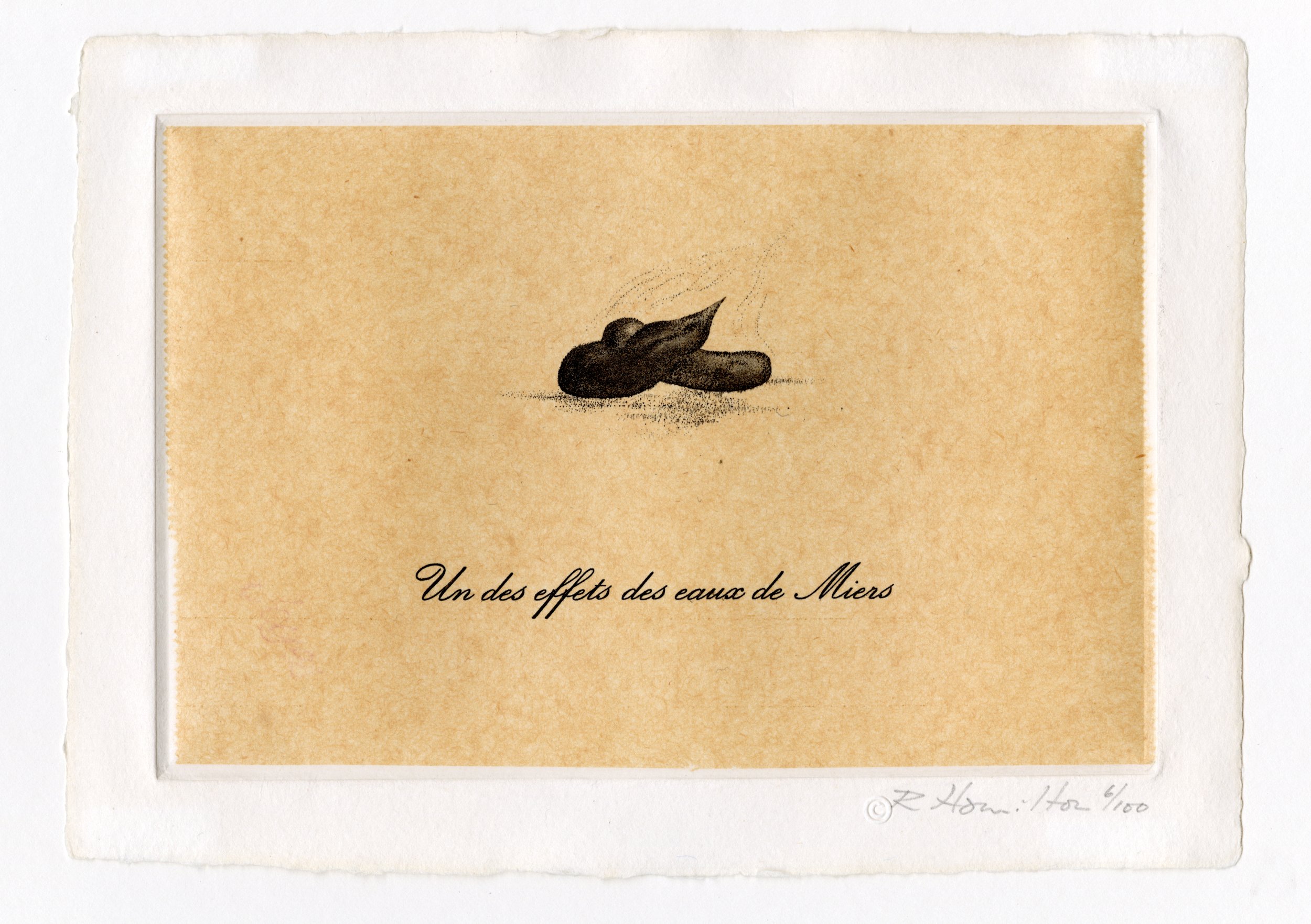 richard hamilton-Un des Effets des Eaux de Miers.jpg