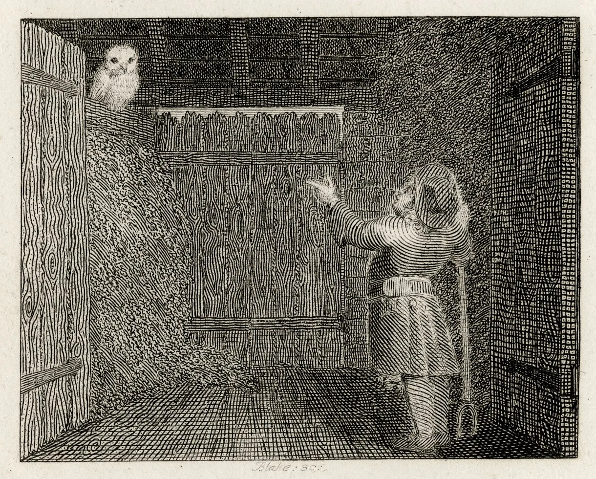 William Blake
The Owl and the Farmer
Engraving 1793
£495
