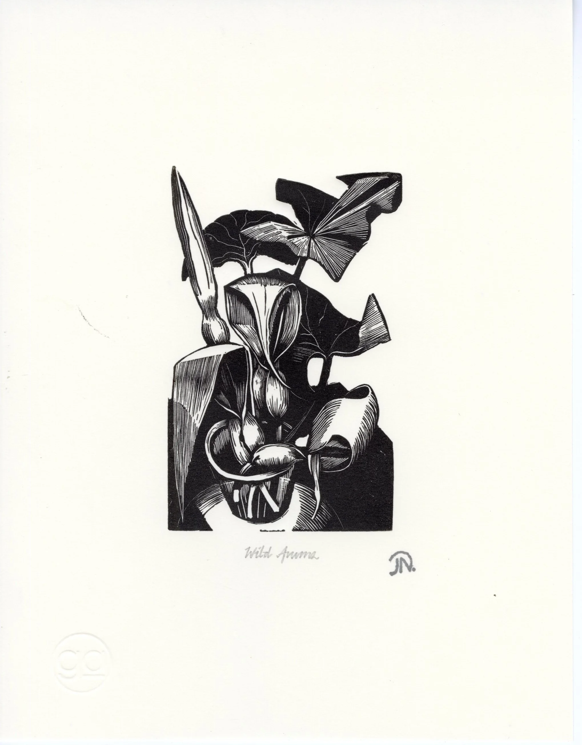 John Nash
Wild Arums