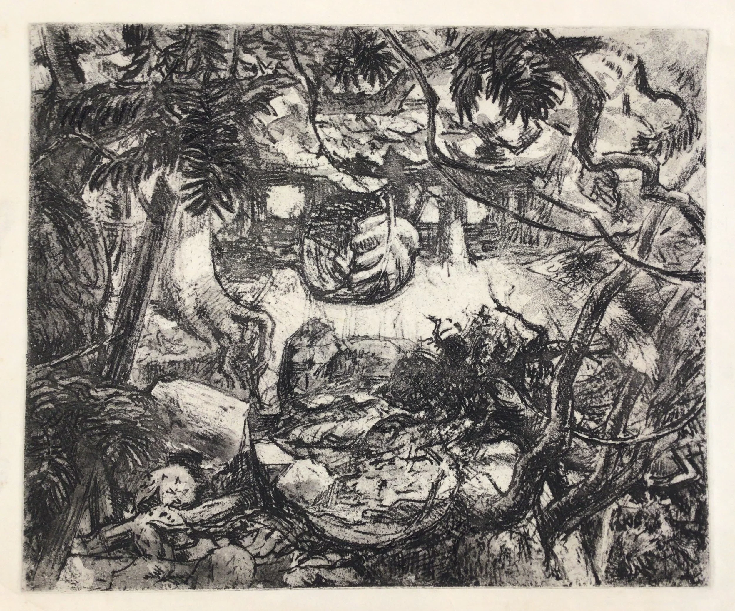 Leaves in a Wood. Etching by Paul Drury