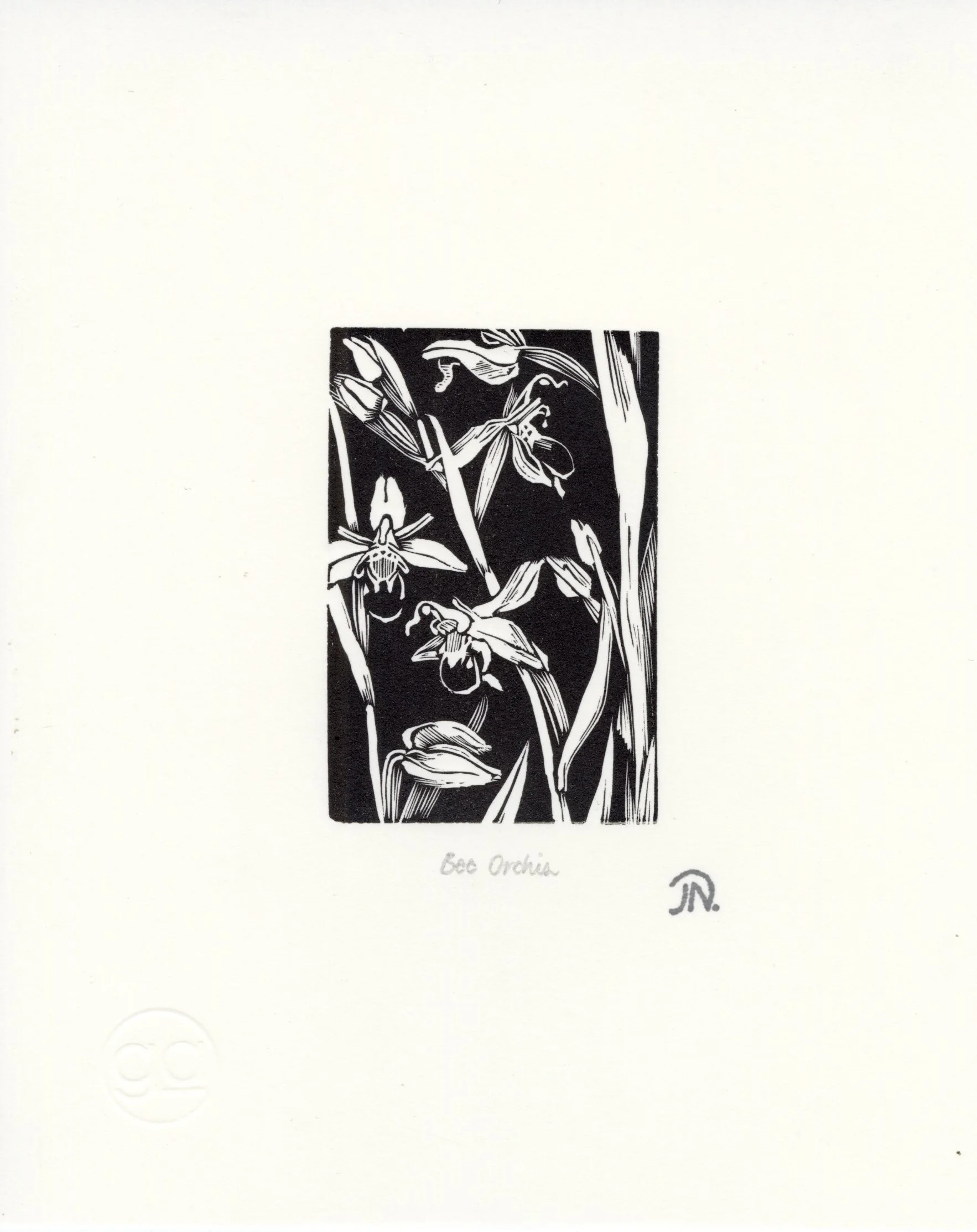 John Nash
Bee orchid
