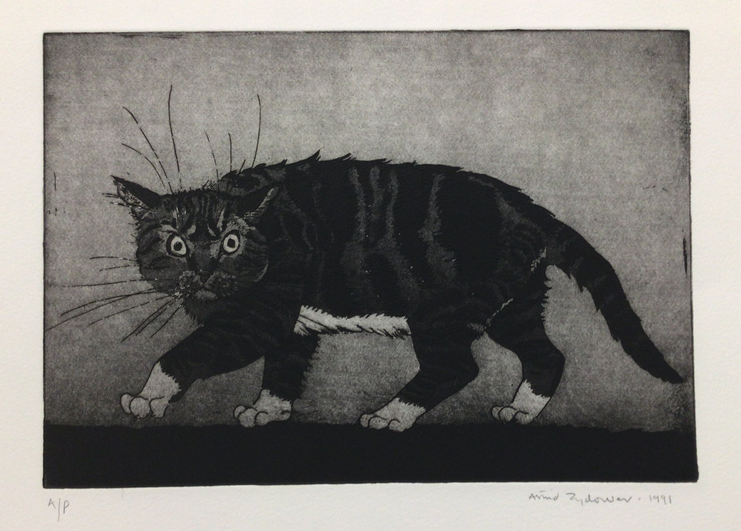 48: Untitled ( Cat Walking) 2nd State
Etching and Aquatint
Image Size 29x20cm
A/P Signed and dated 1991
£575 (Sold)