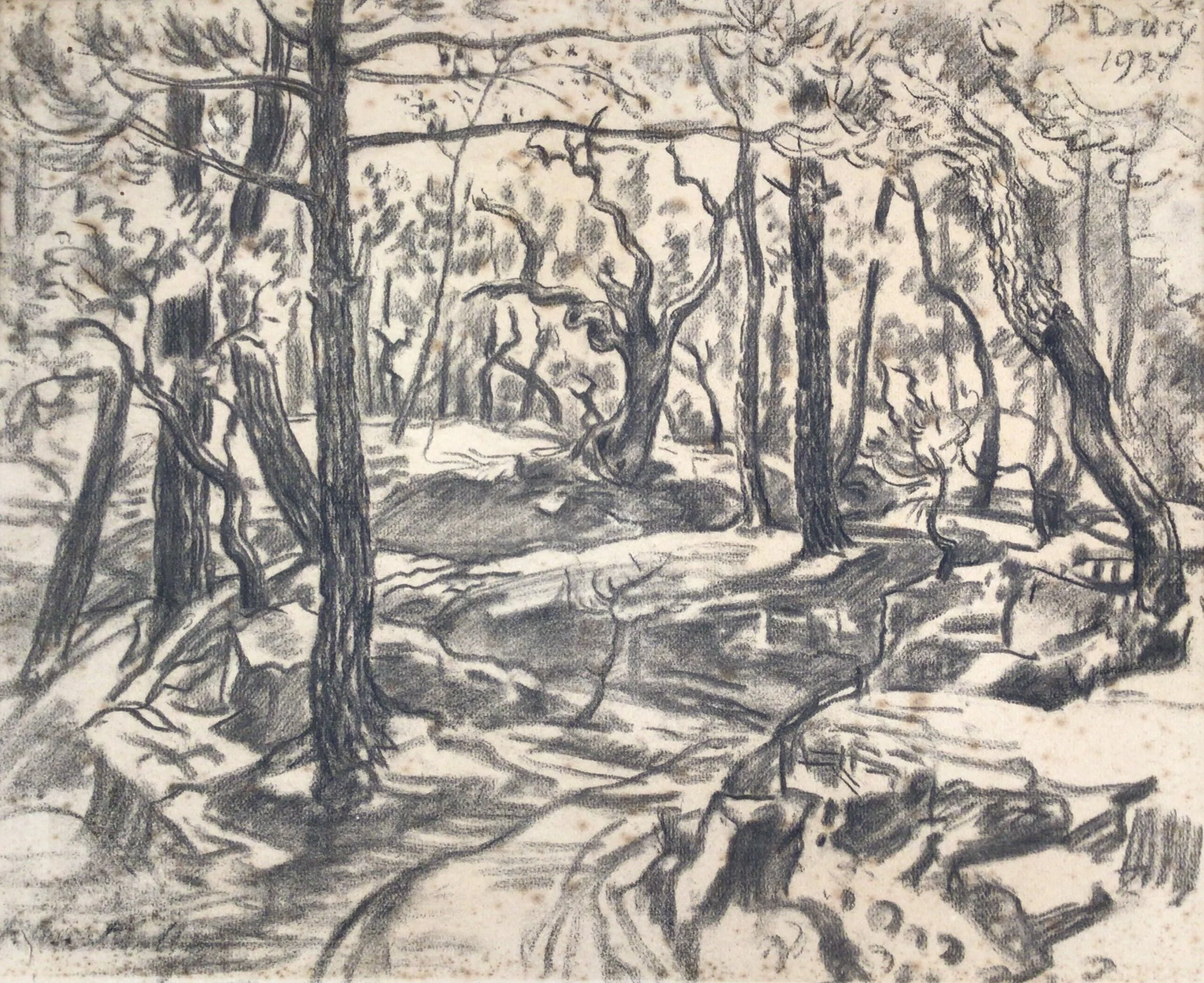 Cork Oaks, Ramatuel. Charcoal drawing by Paul Drury