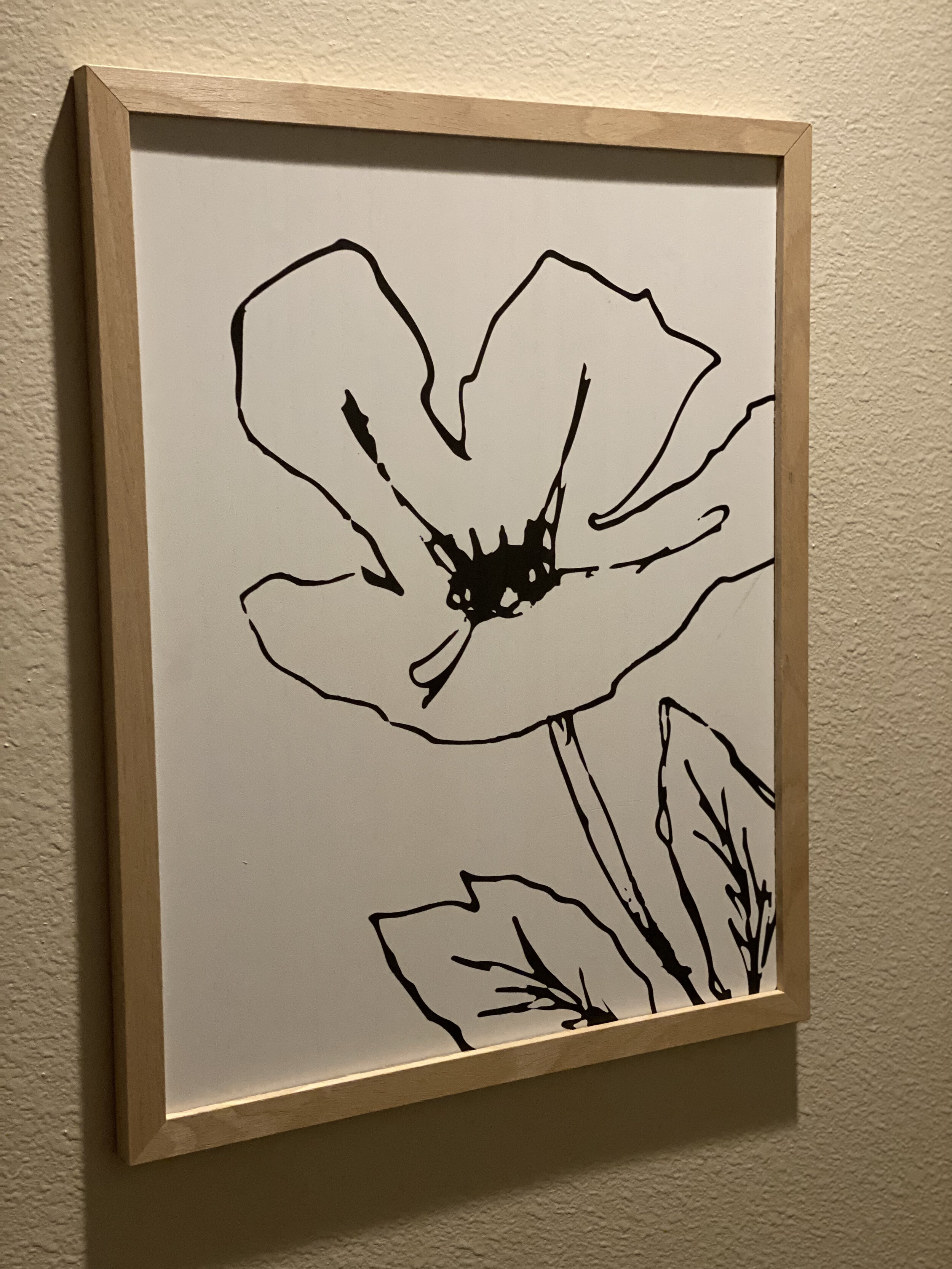 IMG_6905.jpeg