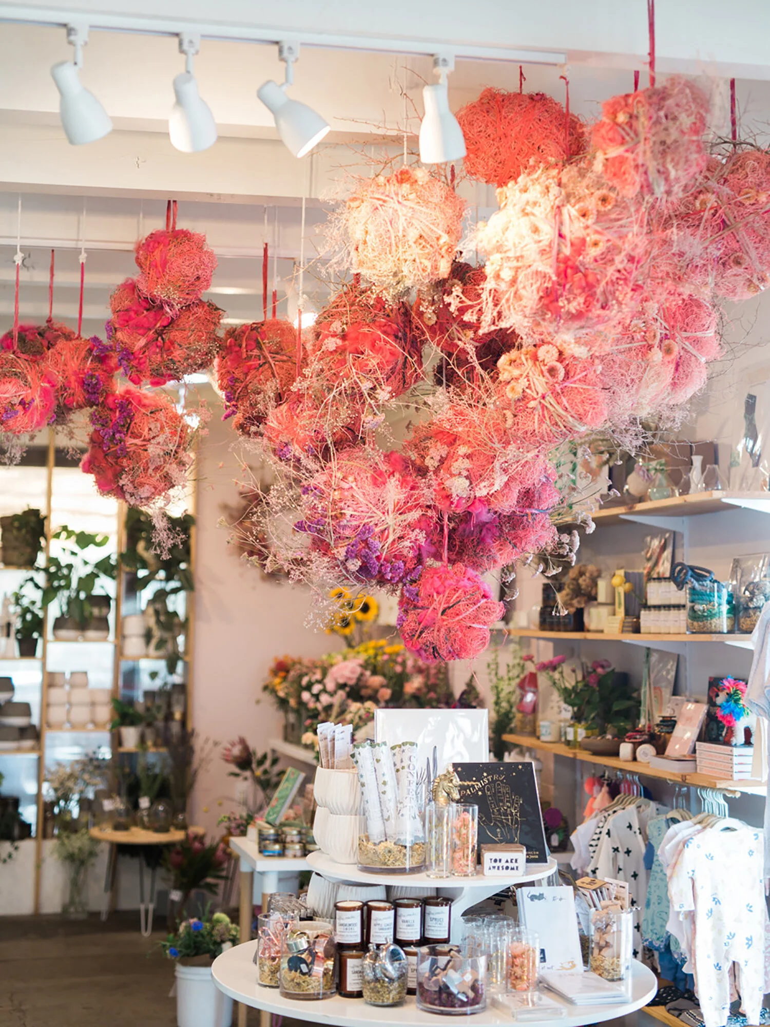 AshleyRenuart_NativePoppy_DriedFloral_Retail_Installation-1.jpg