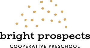 Bright Prospects Site