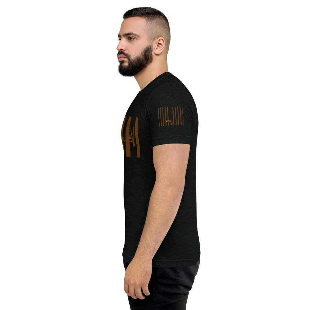 unisex-tri-blend-t-shirt-solid-black-triblend-5fffcd5849895.jpg