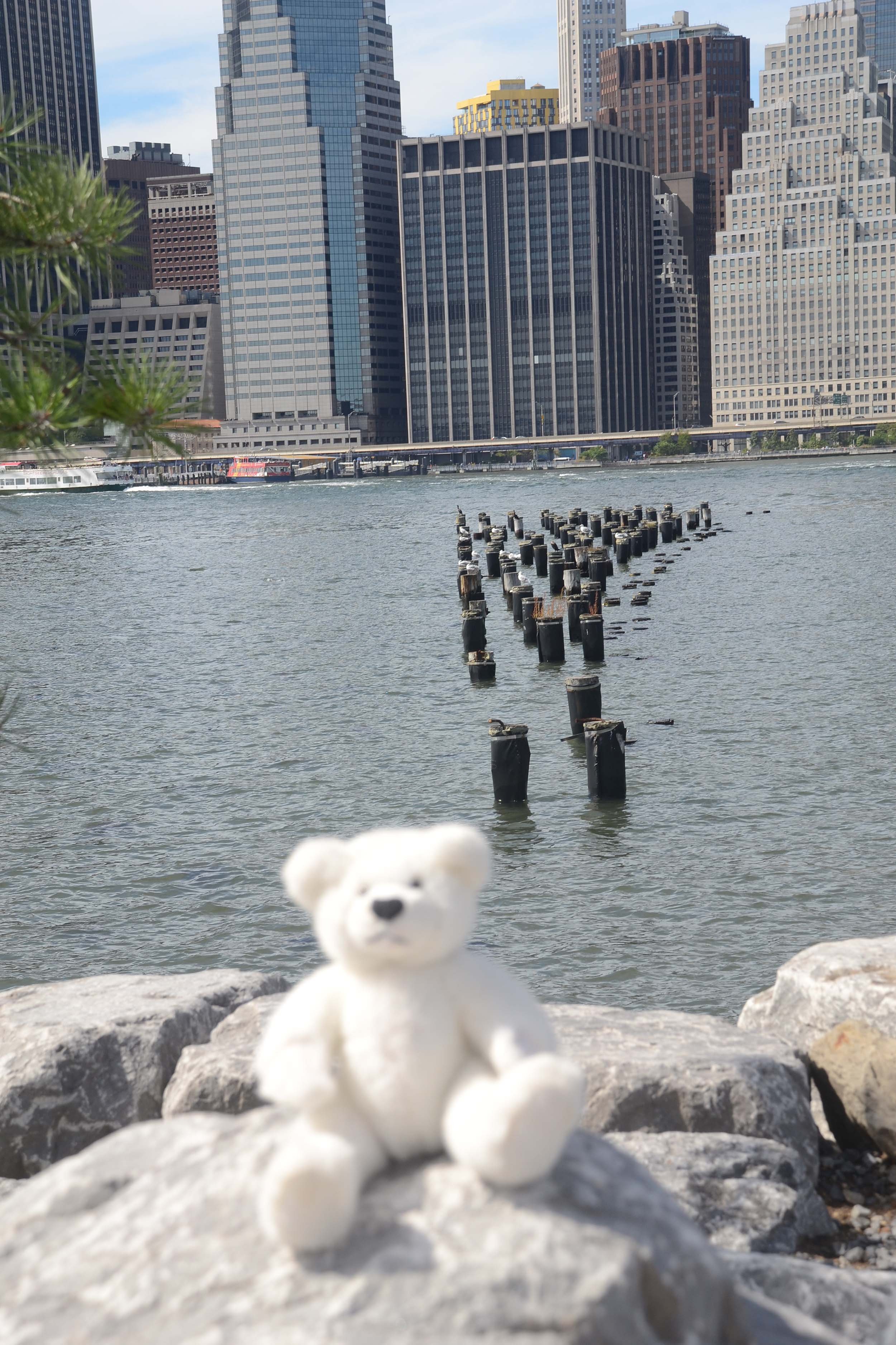DSC_0211.jpg
