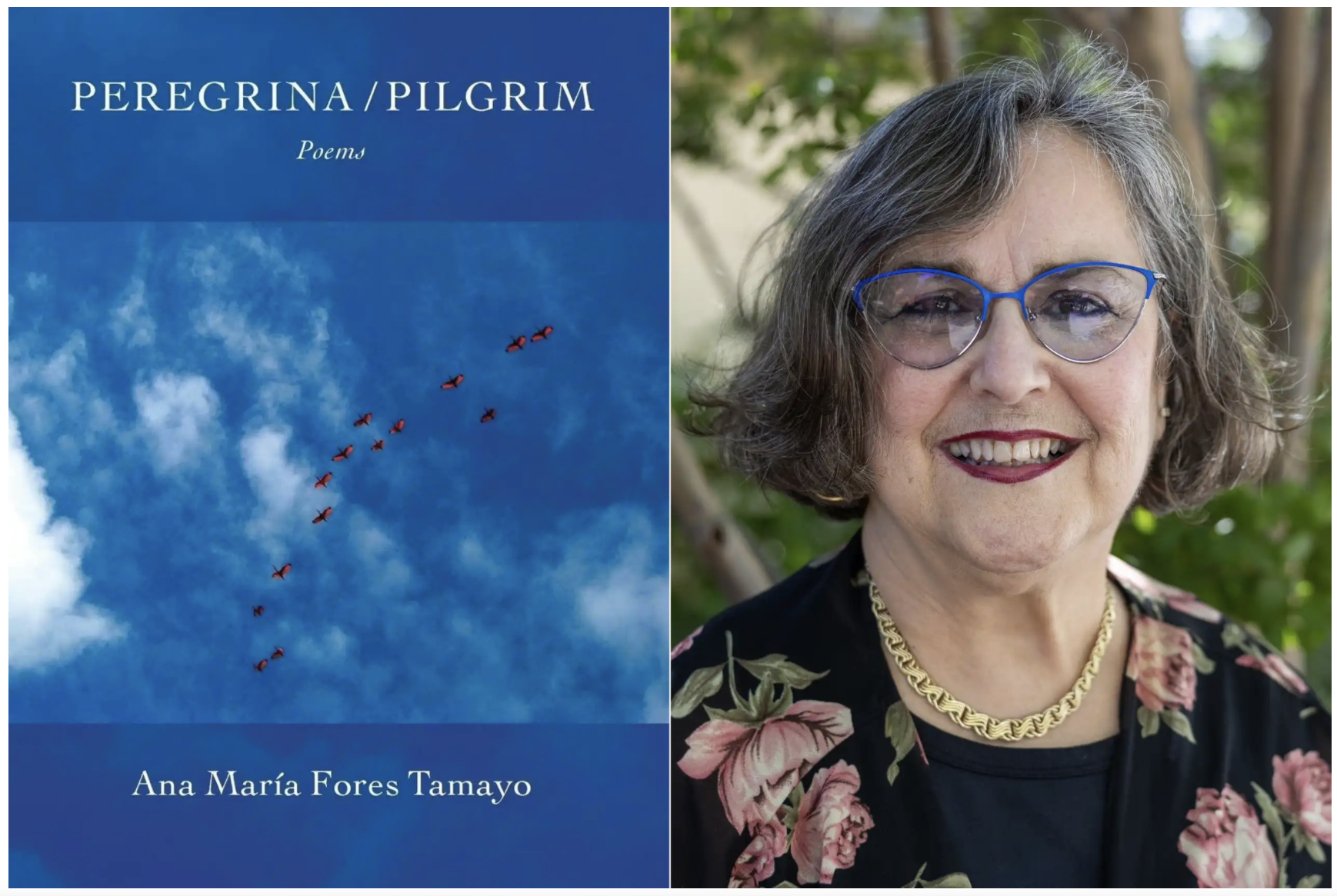 MPR News on Fores Tamayo!