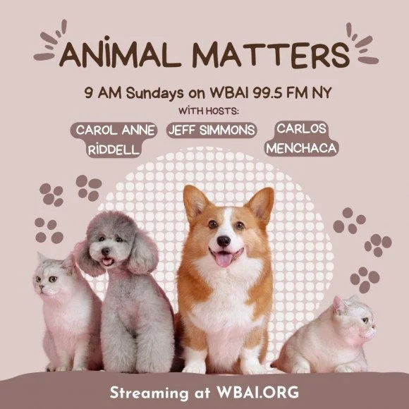 Listen to Ann Toback on the radio show Animal Matters