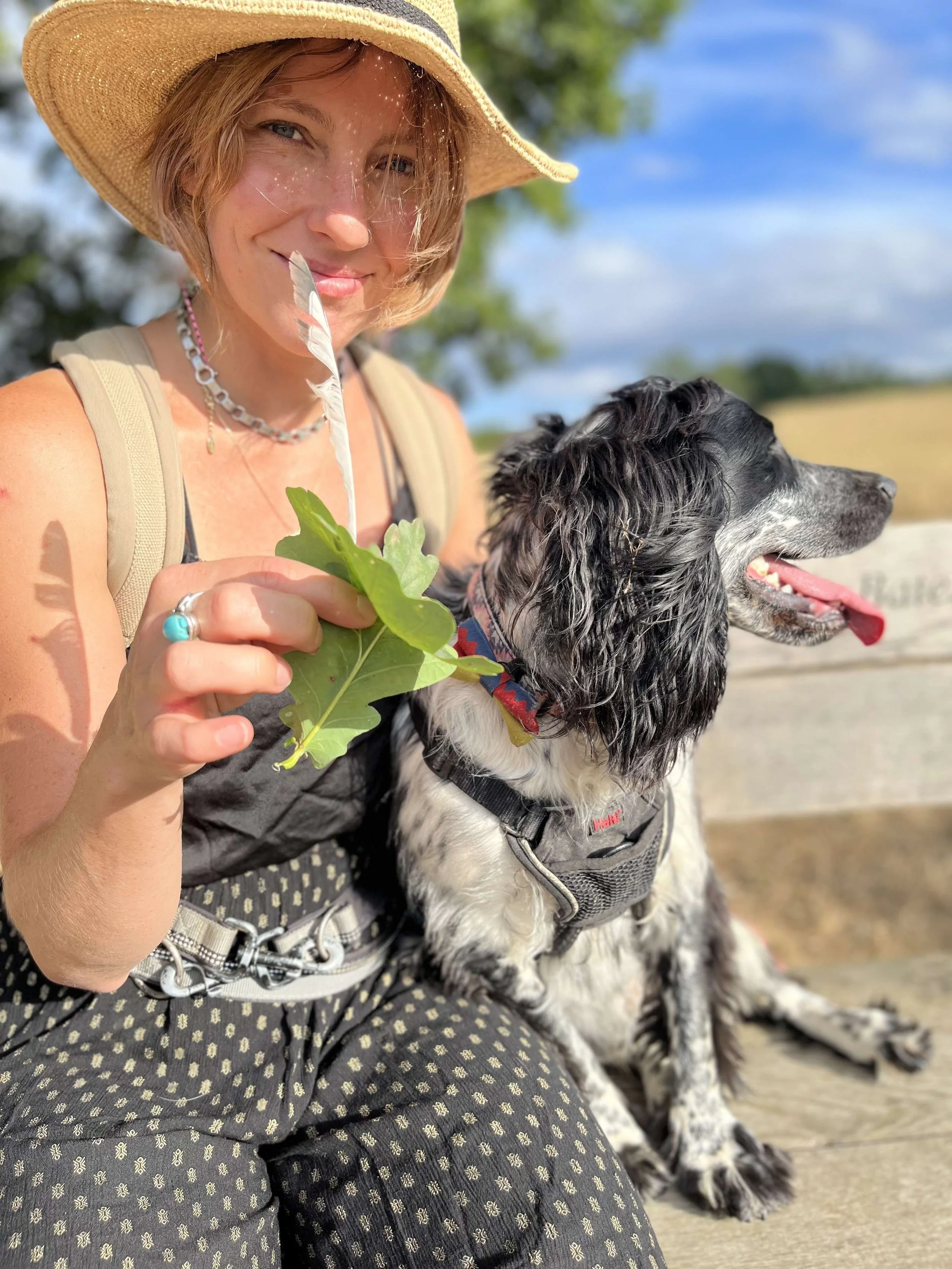 #seektodraw fun creative activity for childrens and parents. Illustrate species of leaves you find in your local woodlands.