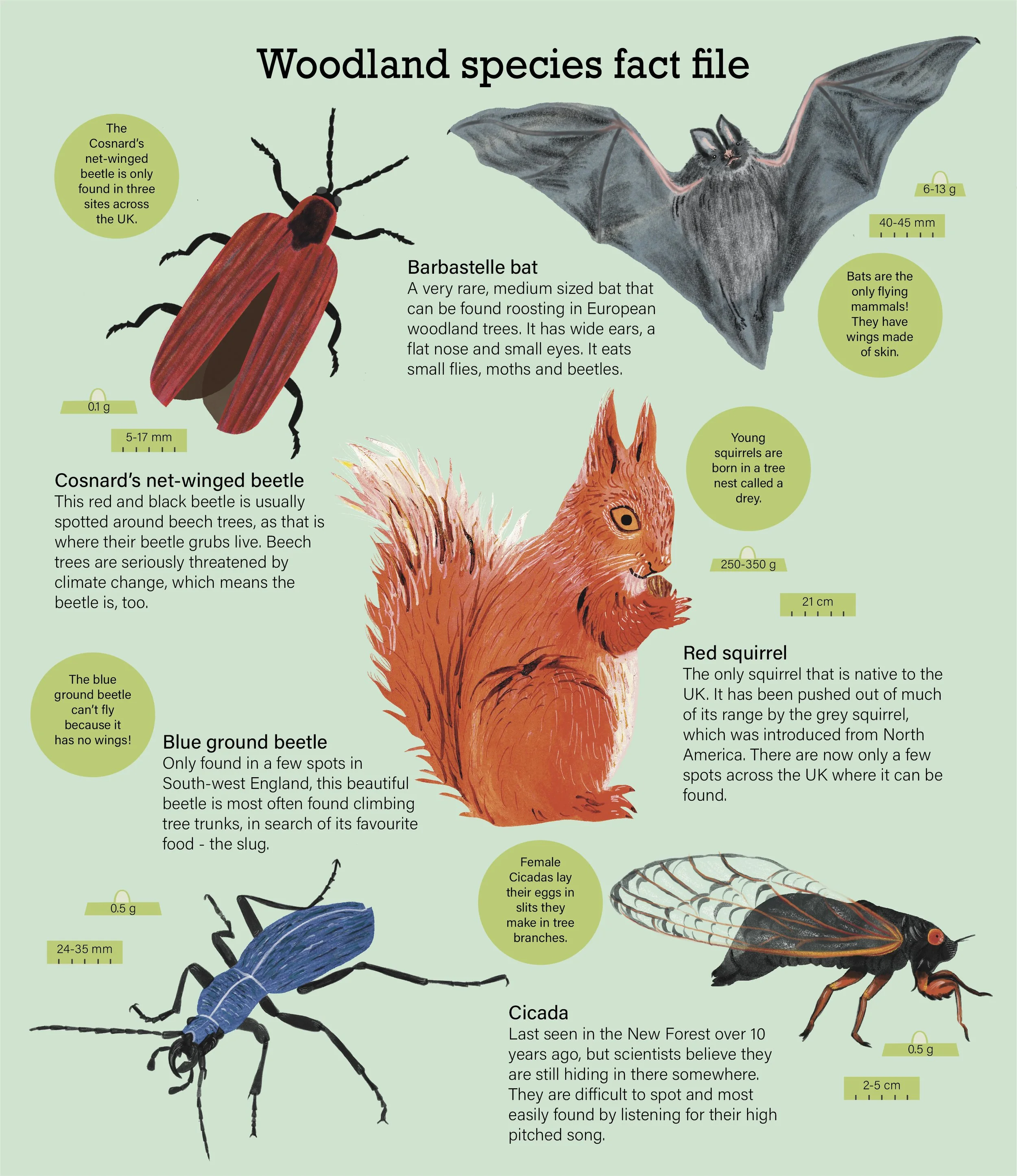 Childrensbook_folio_pages-01.jpg