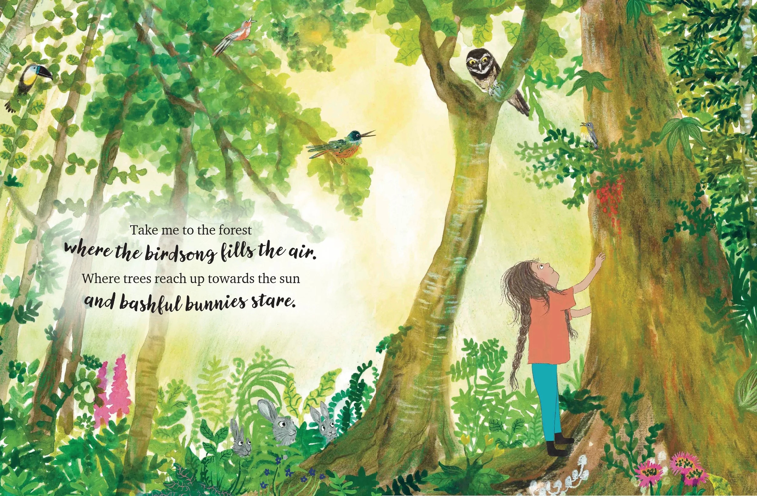 Rainforest spread - full colour