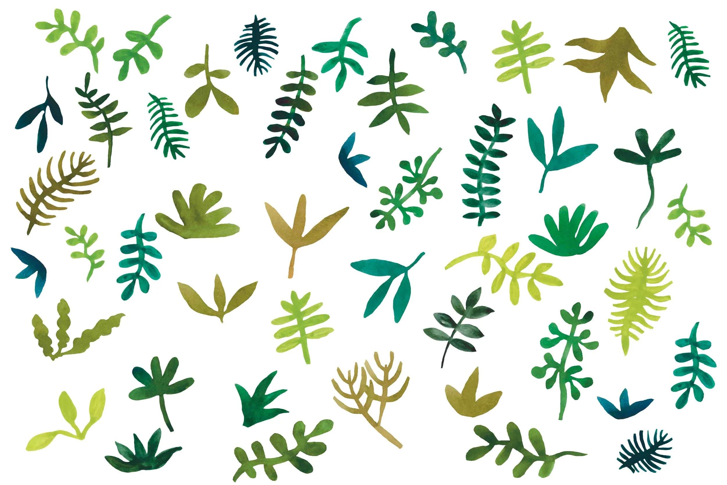End_Papers_-_Take_Me_To_The_Wild 2.jpg
