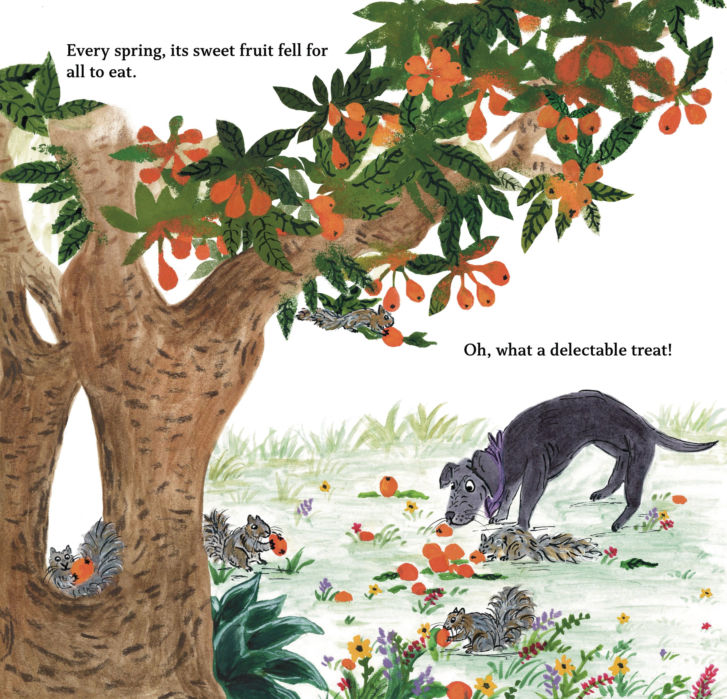 Page_12_Stevie_and_the_Loquats_Colour.jpg