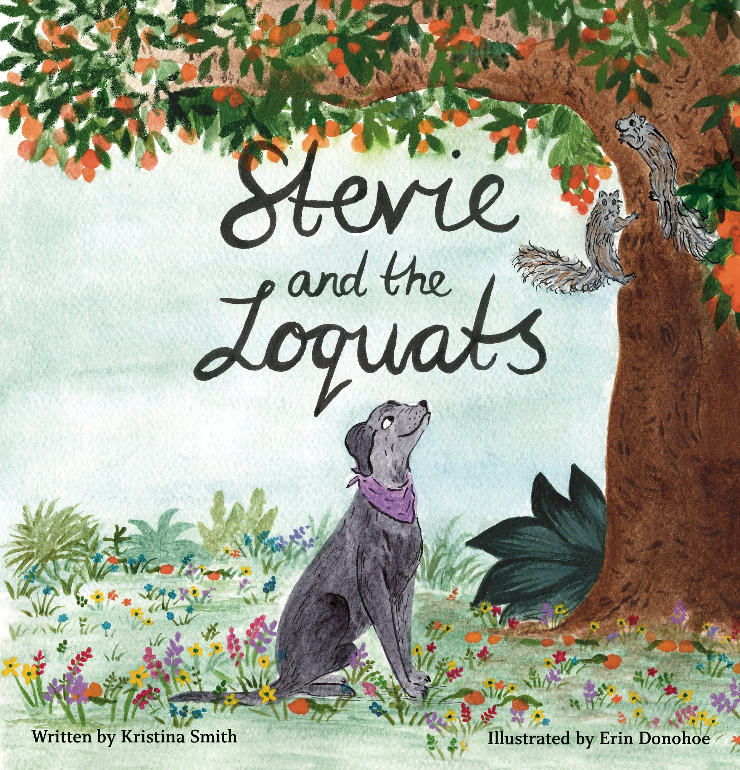 Stevie-and-the-Loquats-Front-Cover.jpg