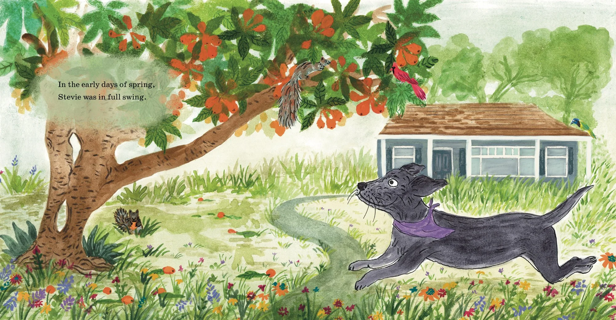 Page_6-7_Spread_-_Stevie_and_the_Loquats.jpg