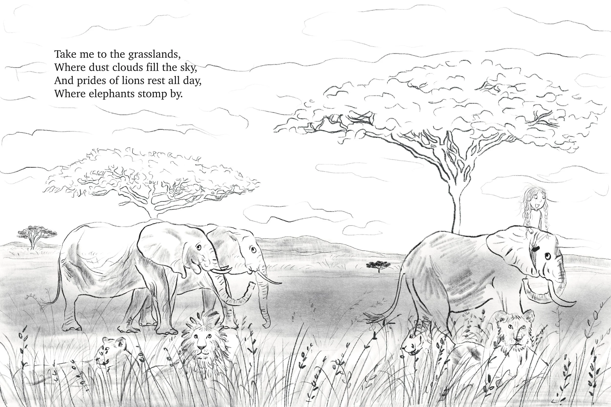 Take Me to the Wild roughs Erin Donohoe.JPG