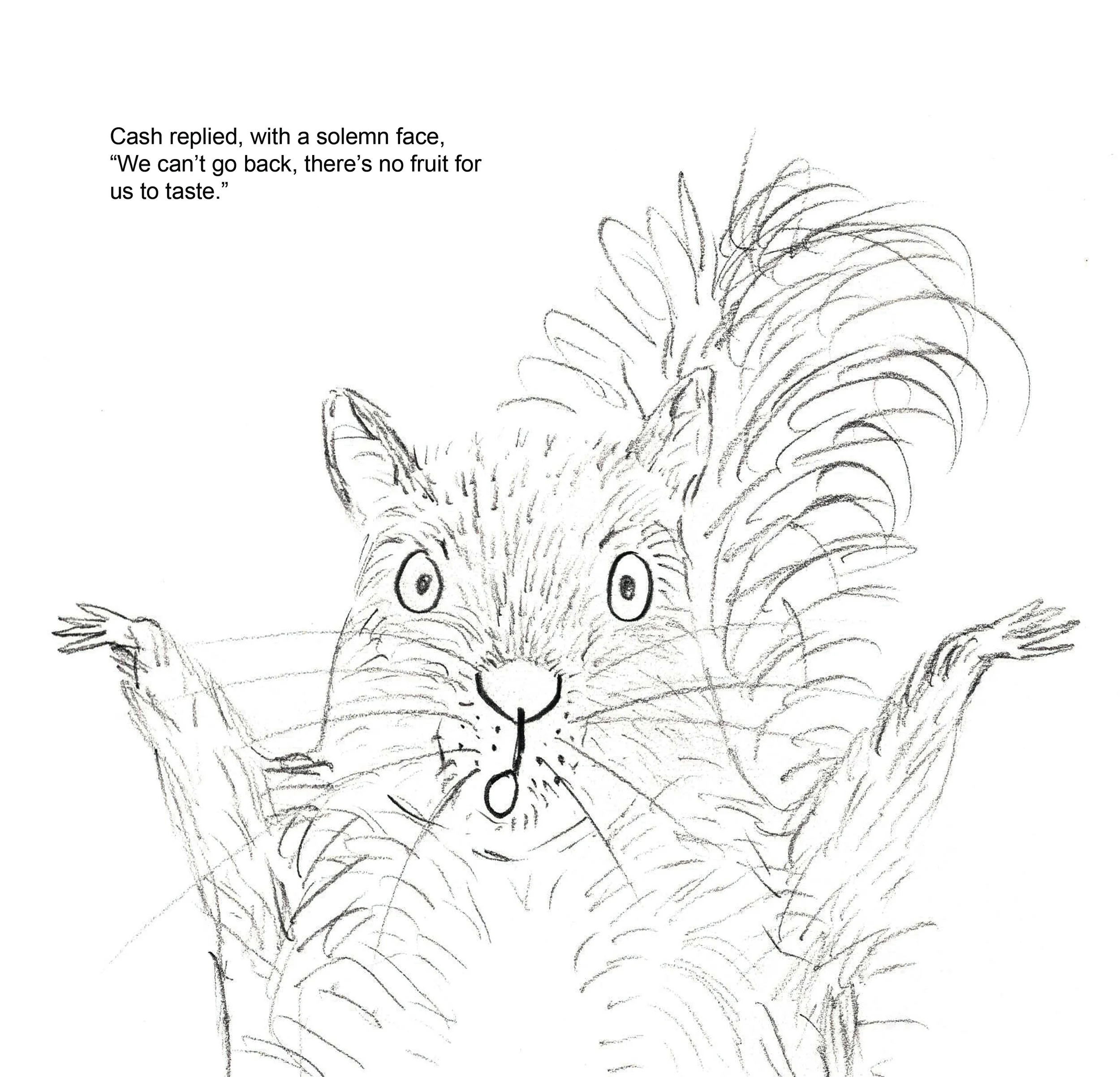 Roughs page 26 Stevie and the Loquats.jpg