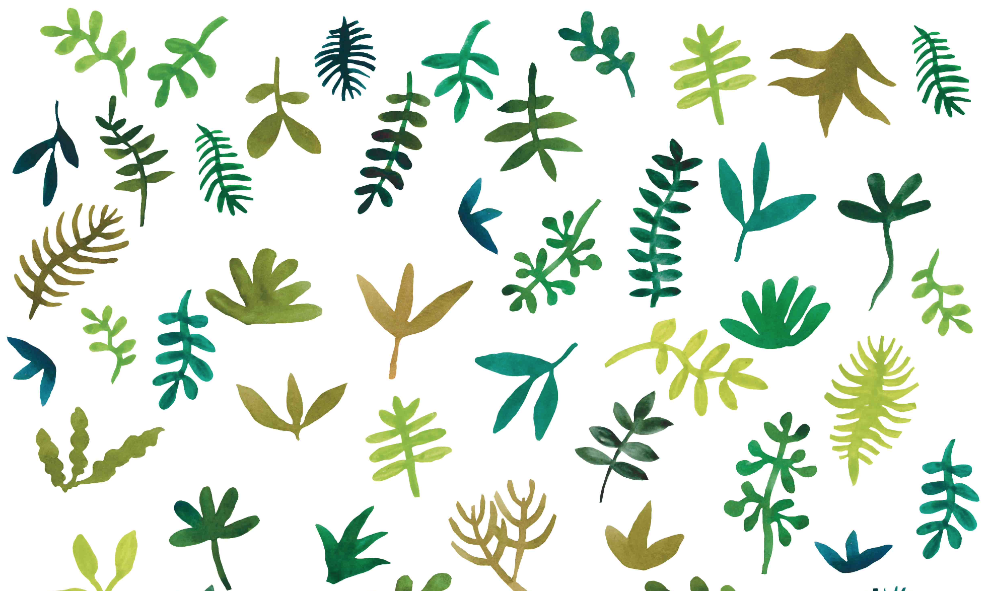End Papers