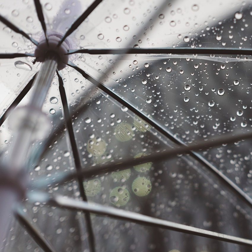 Close-up image of the inside of a transparent umbrella with raindrops on the surface, showing the umbrella's metal ribs and shaft.