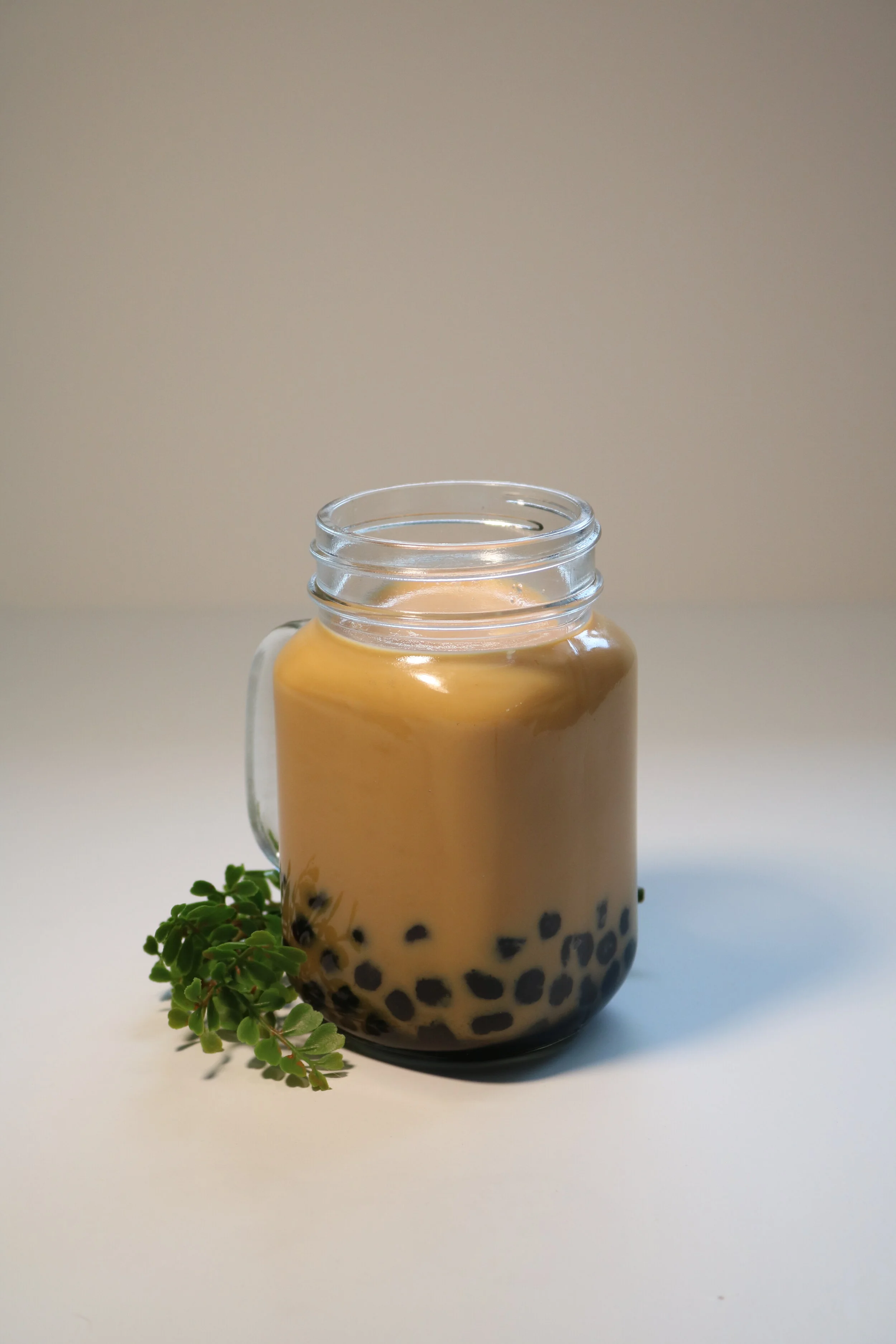 iBEV’s Rooibos Tea — iBEV LLC