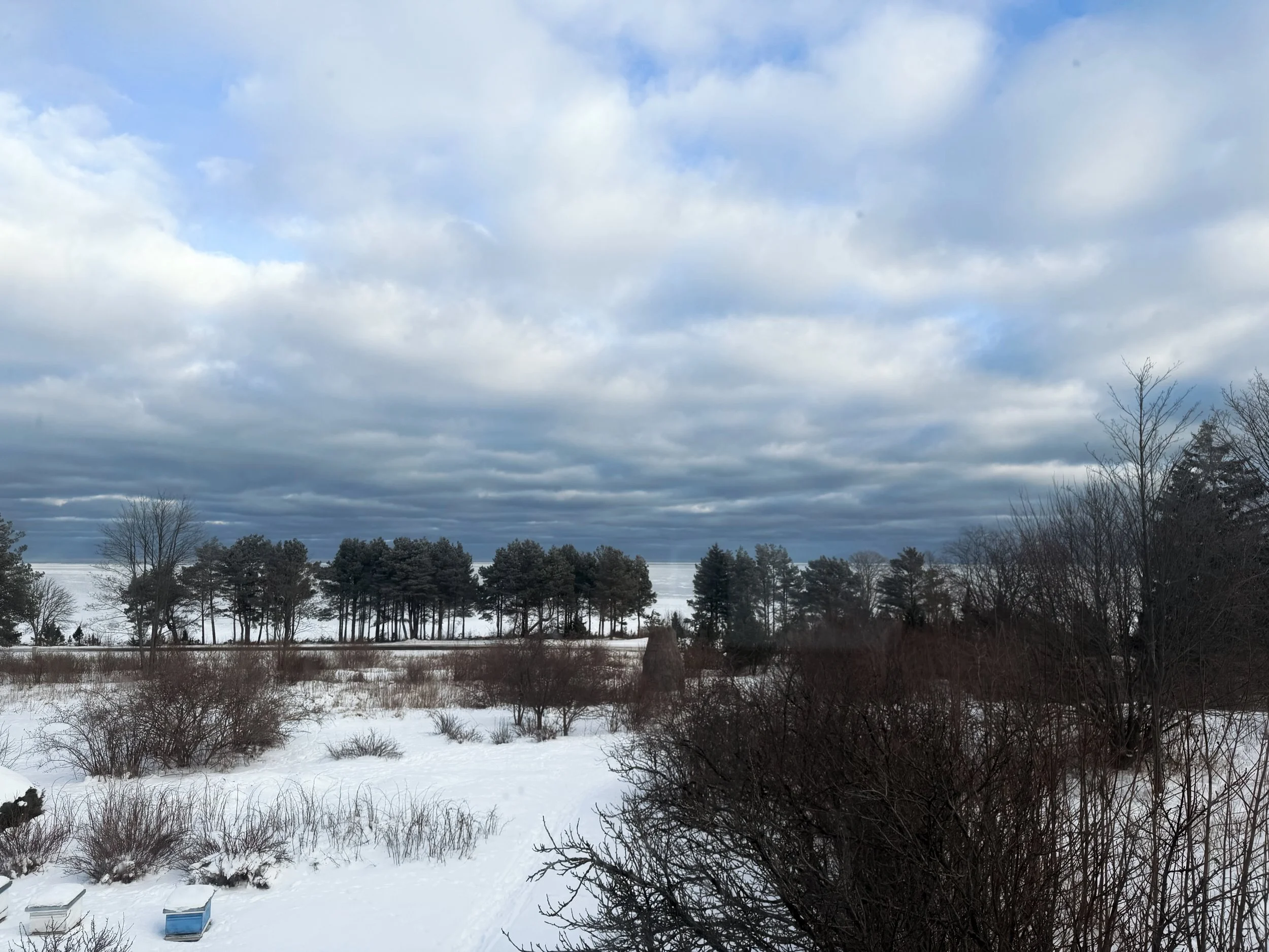 Along the Baltic Sea