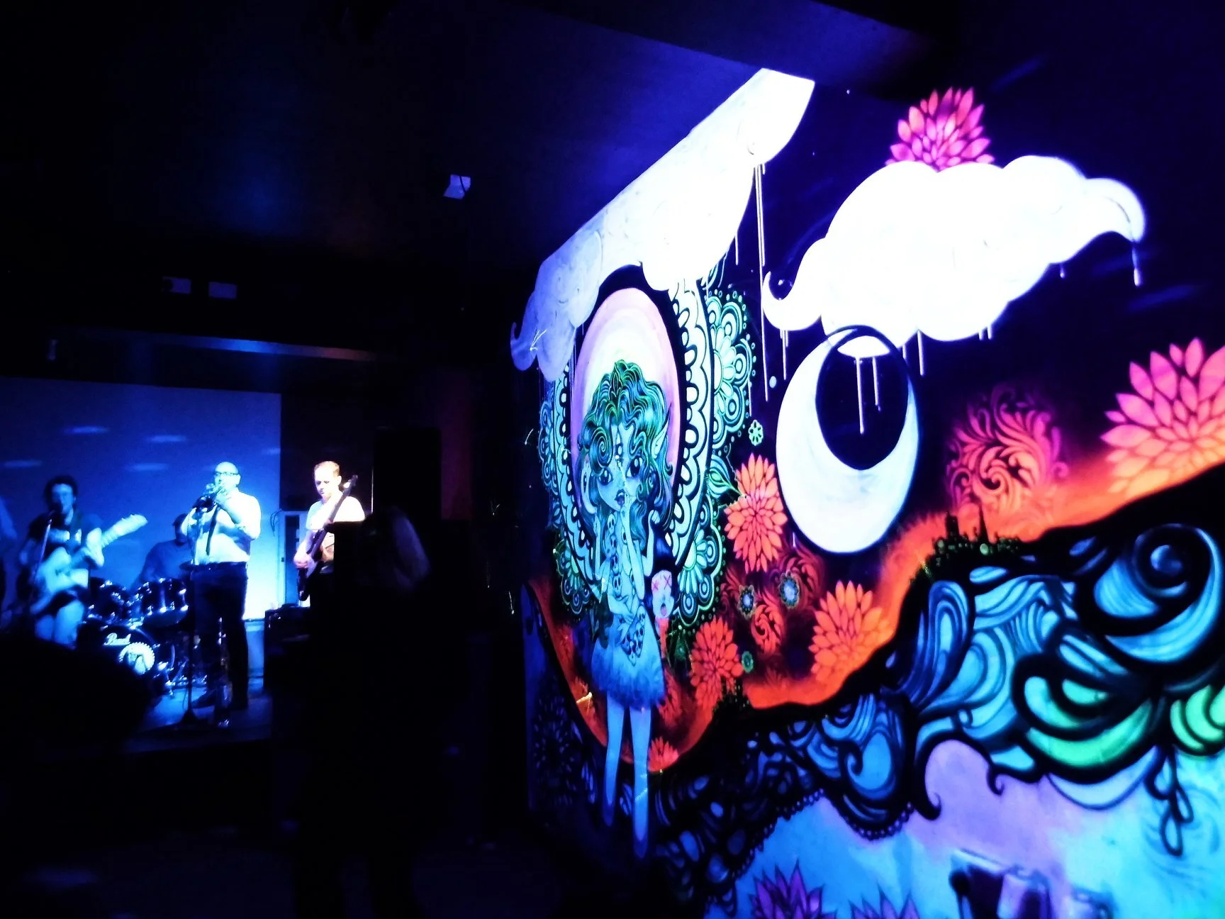 UV Mural, Private Venue, Co. Sligo 2017.