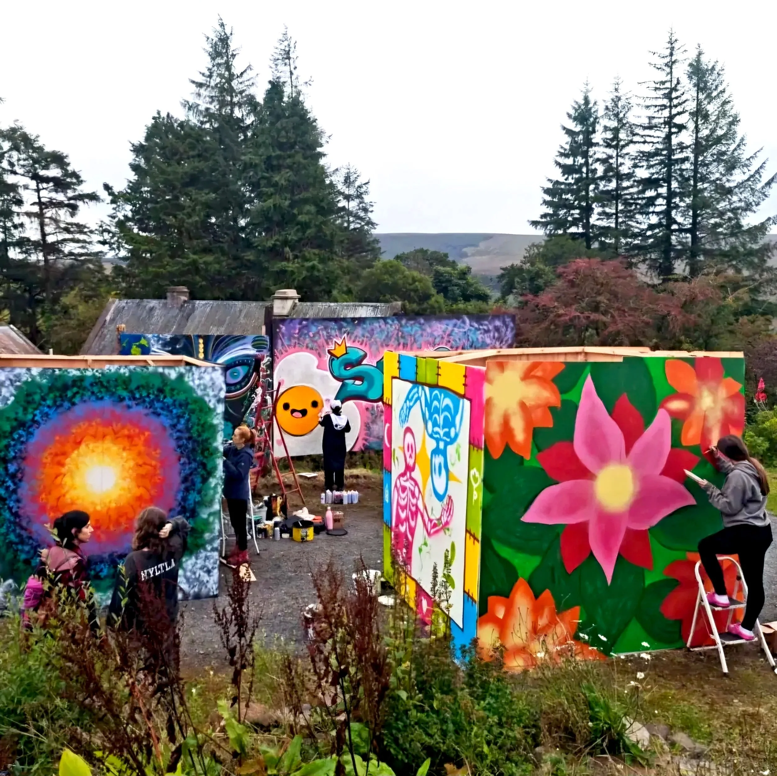 MyfanwyNia Studio Days: Mural Painting Experience in the Leitrim Hills