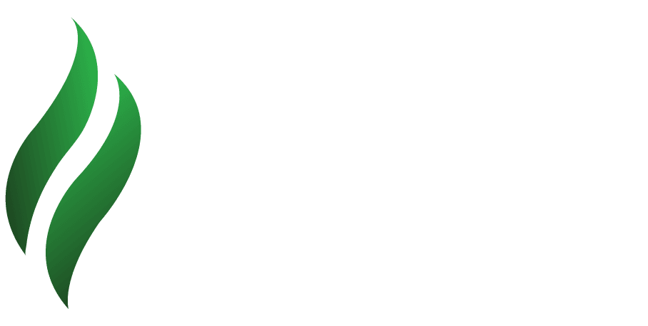LS2.png