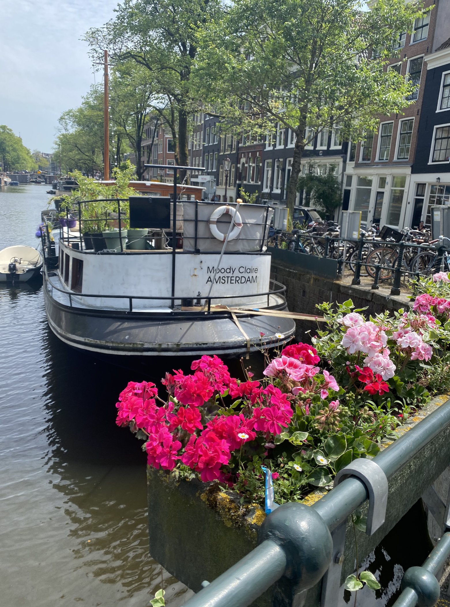 Screen Shot 2022-07-21 at 10.43.19 AM.png