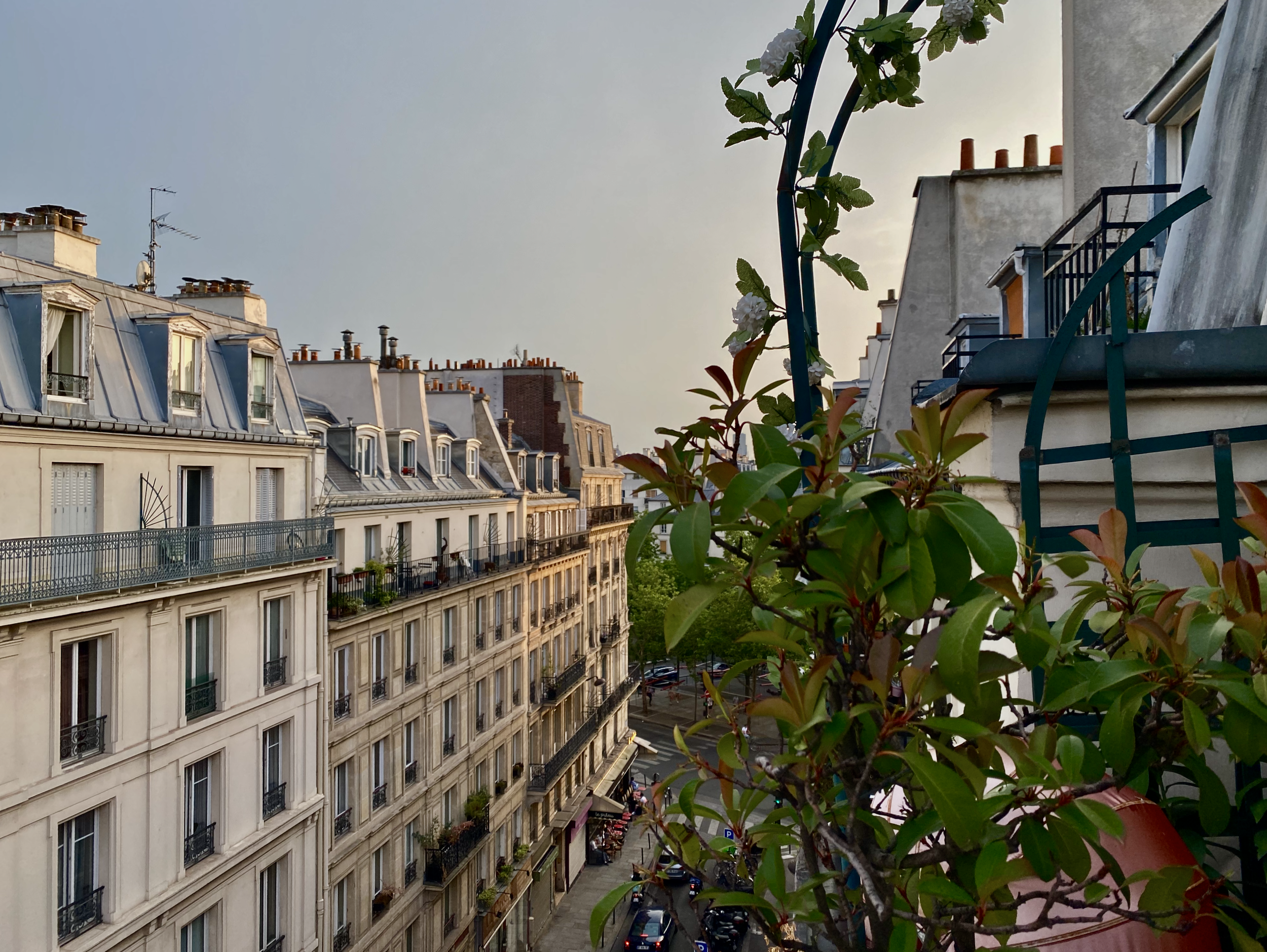 Screen Shot 2022-07-21 at 10.25.07 AM.png