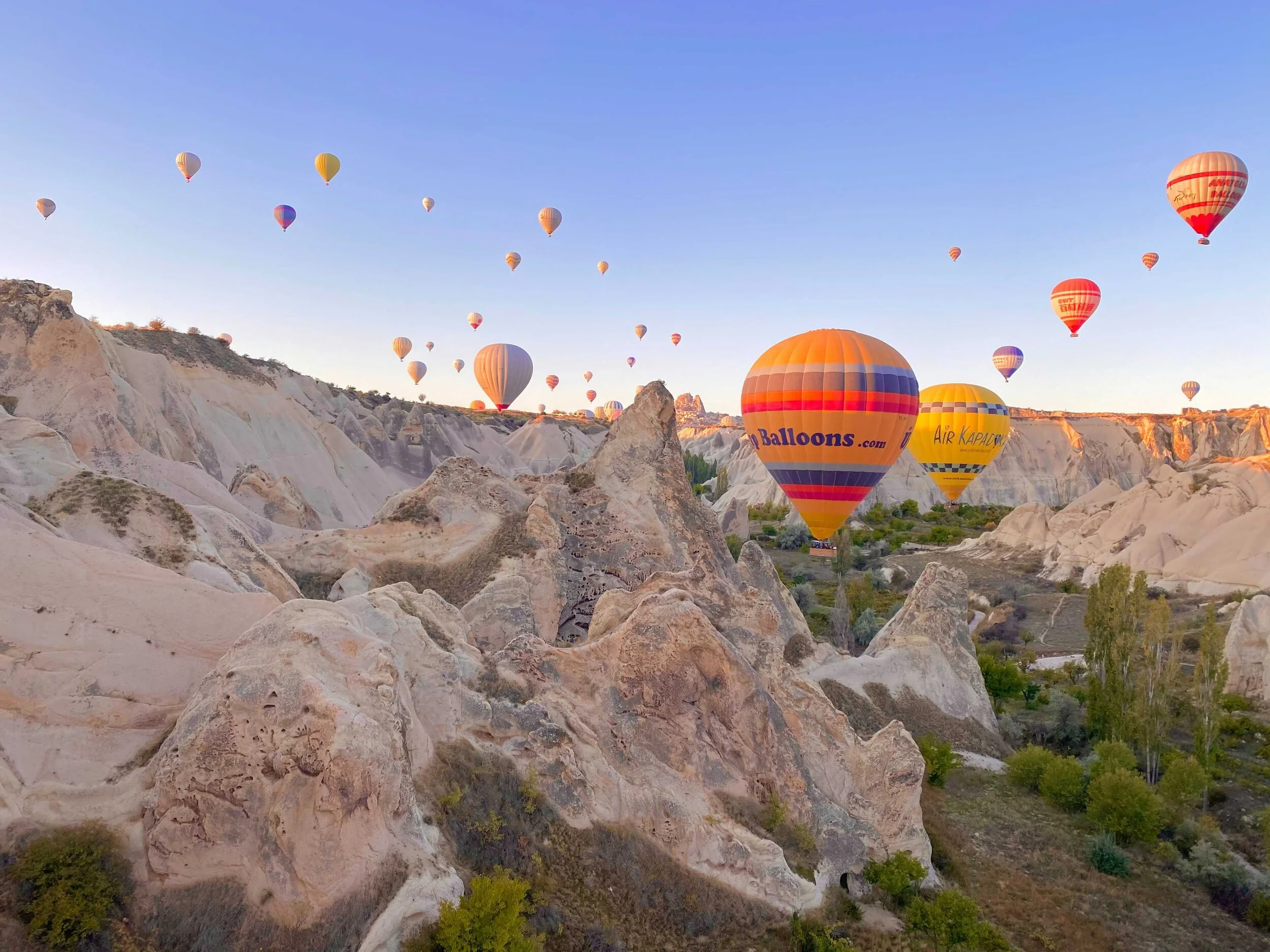 Image from iOS (1).jpg