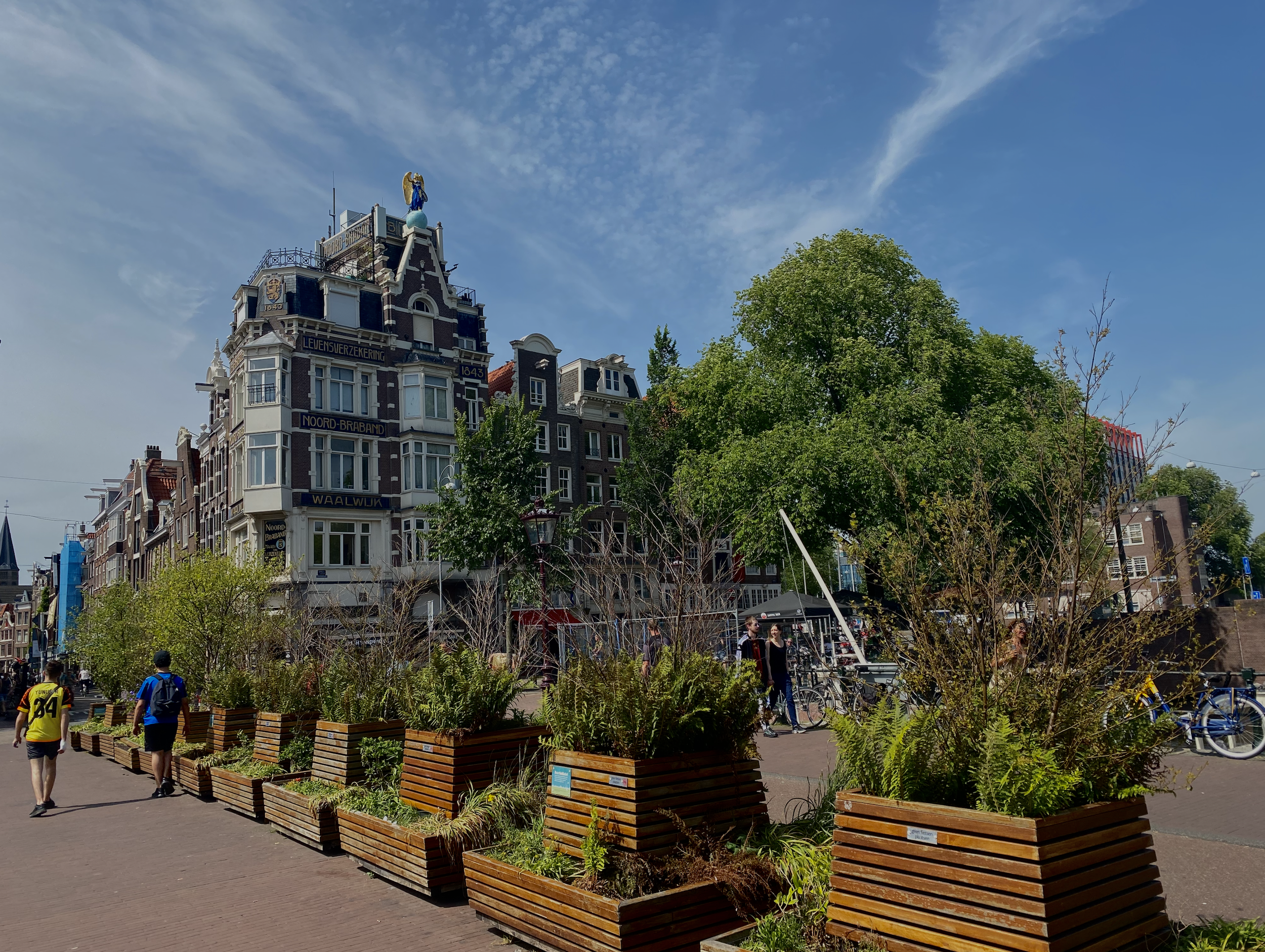 Screen Shot 2022-07-21 at 10.44.13 AM.png