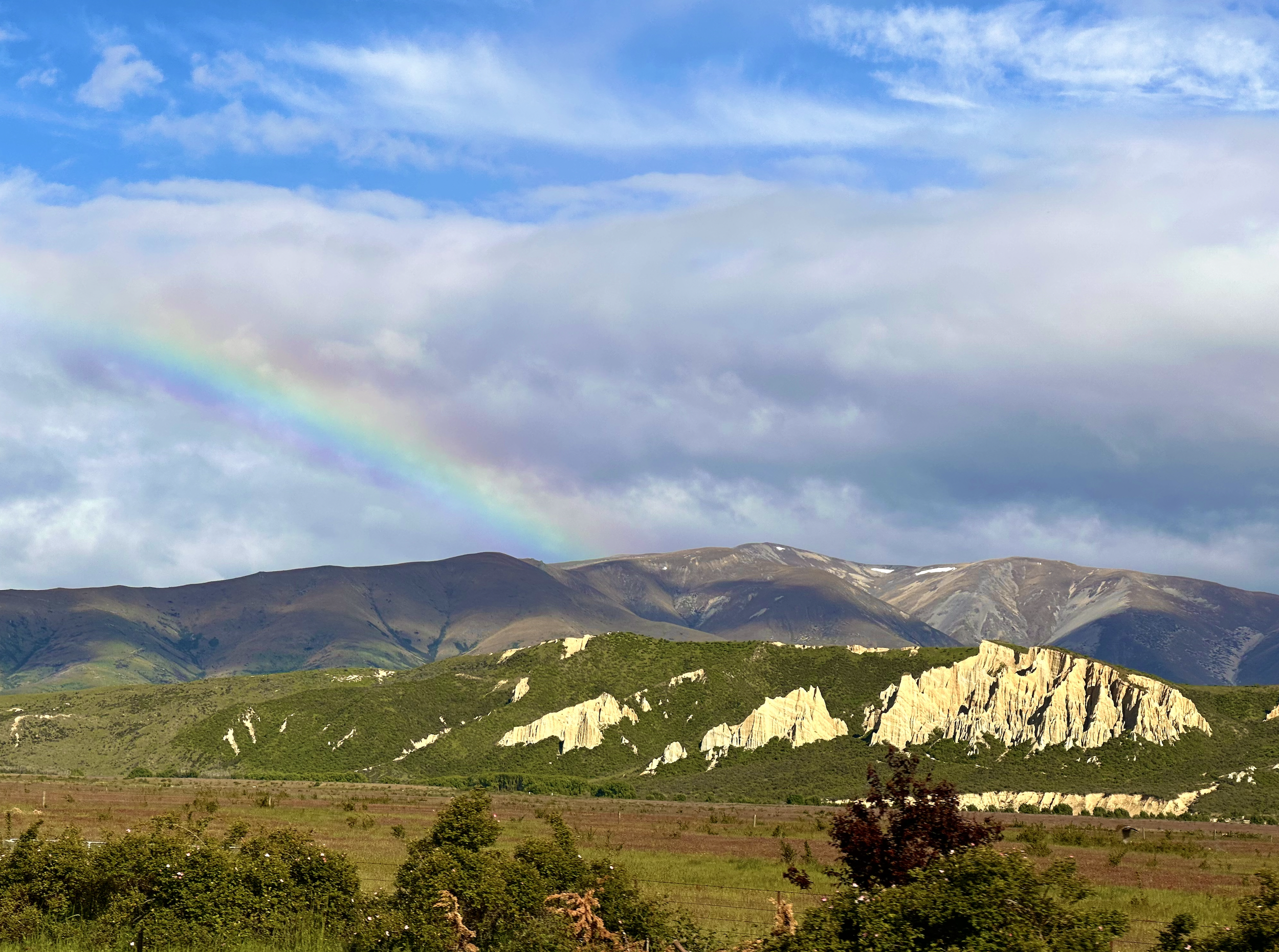 Screen Shot 2022-12-24 at 2.58.46 PM.png